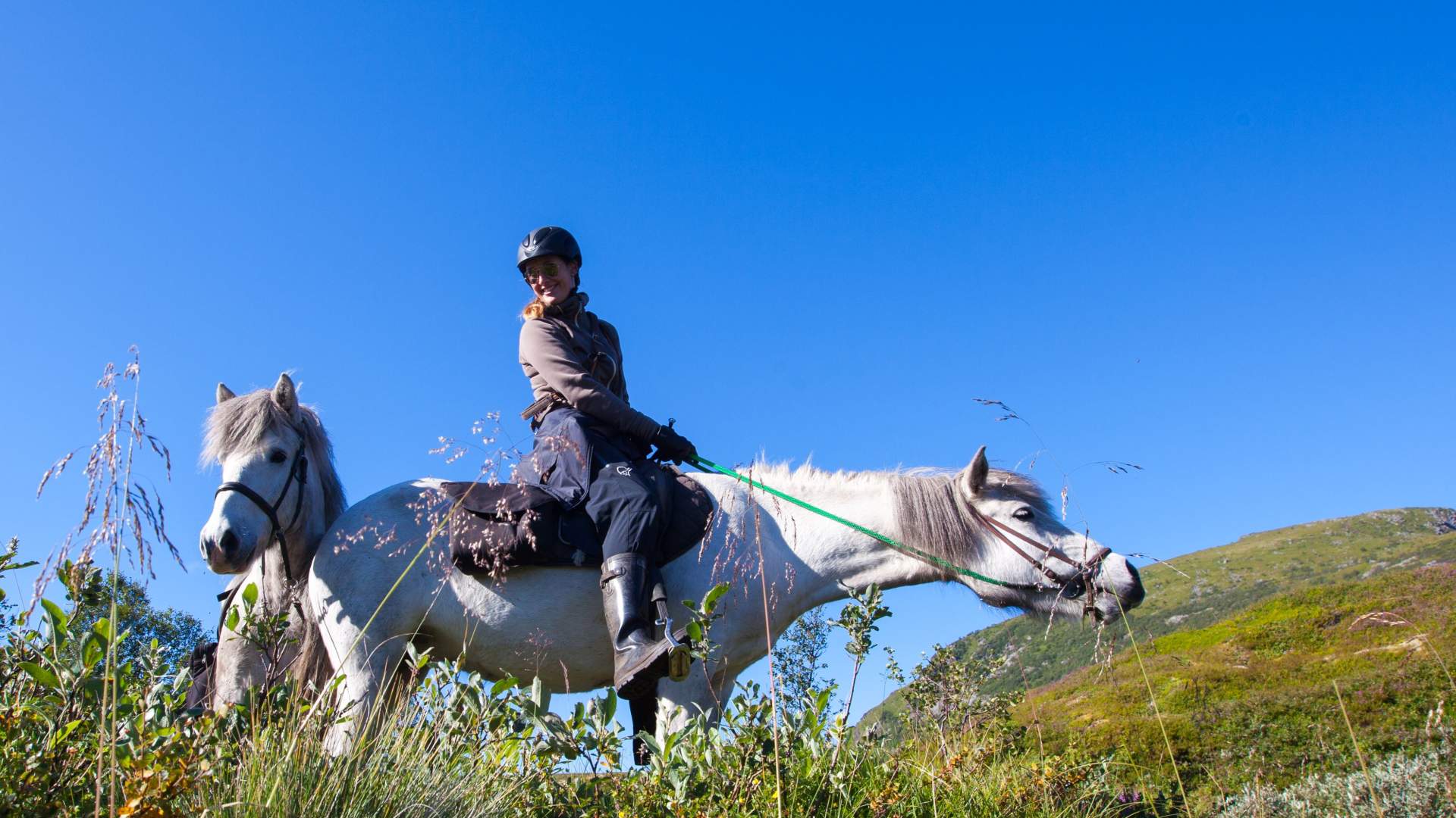 Lofoten by Horse
