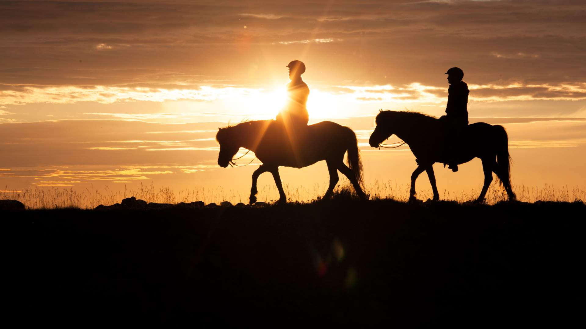 Horseback riding under the Midnight Sun in Lofoten (copy)