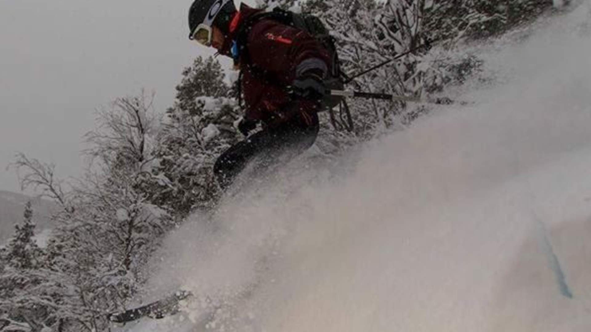 Alpine Skiing under Arctic Light