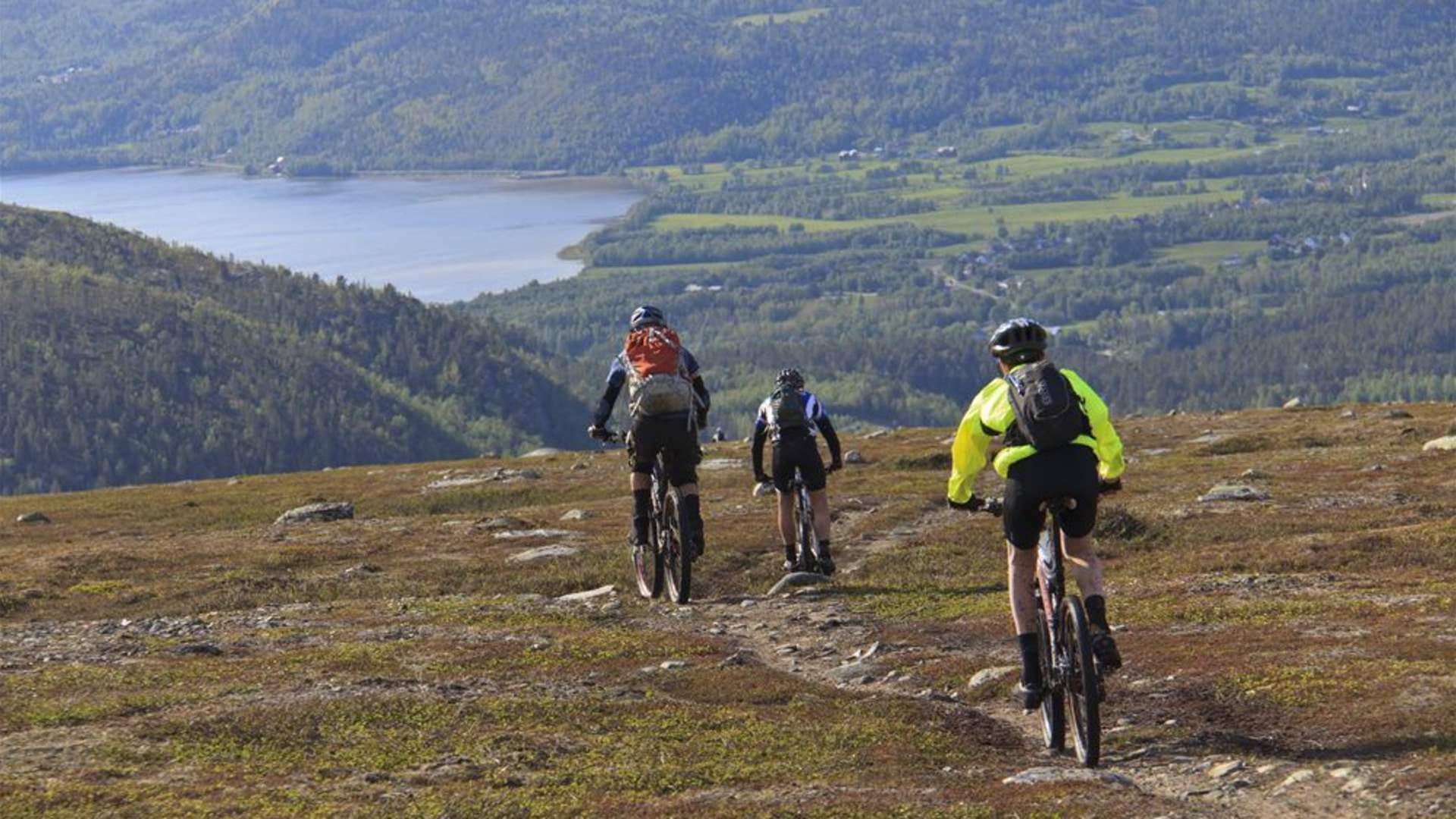 Alta og Finnmarksvidda (4 dager)