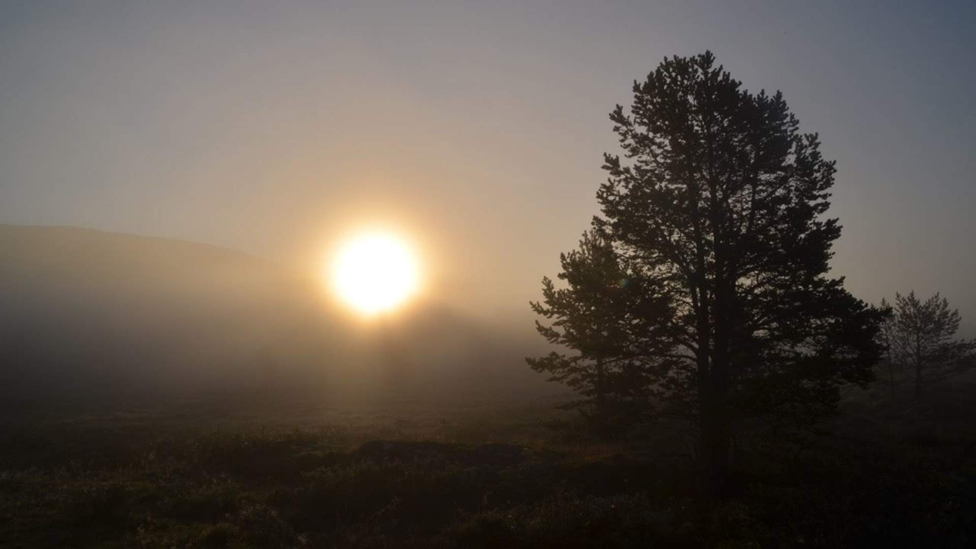 Solrenning på Dalsida 