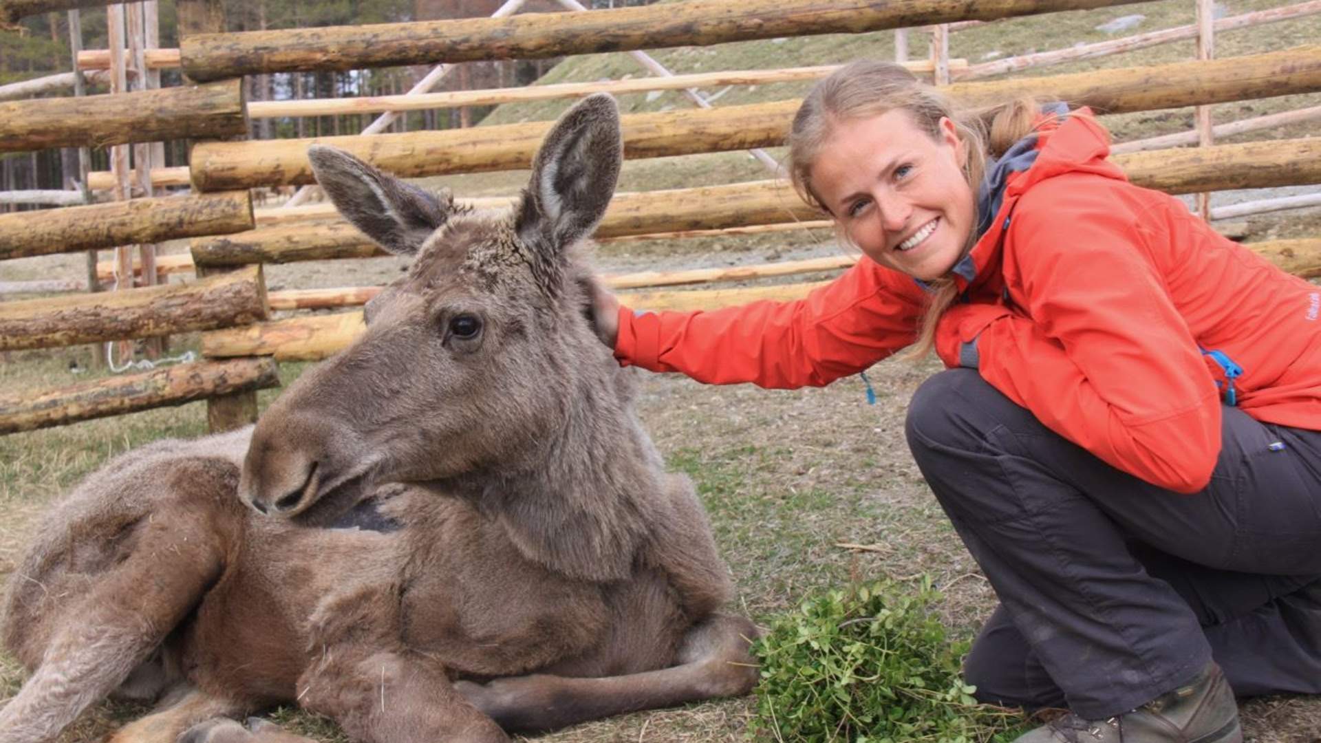 Glittersjå mountain farm