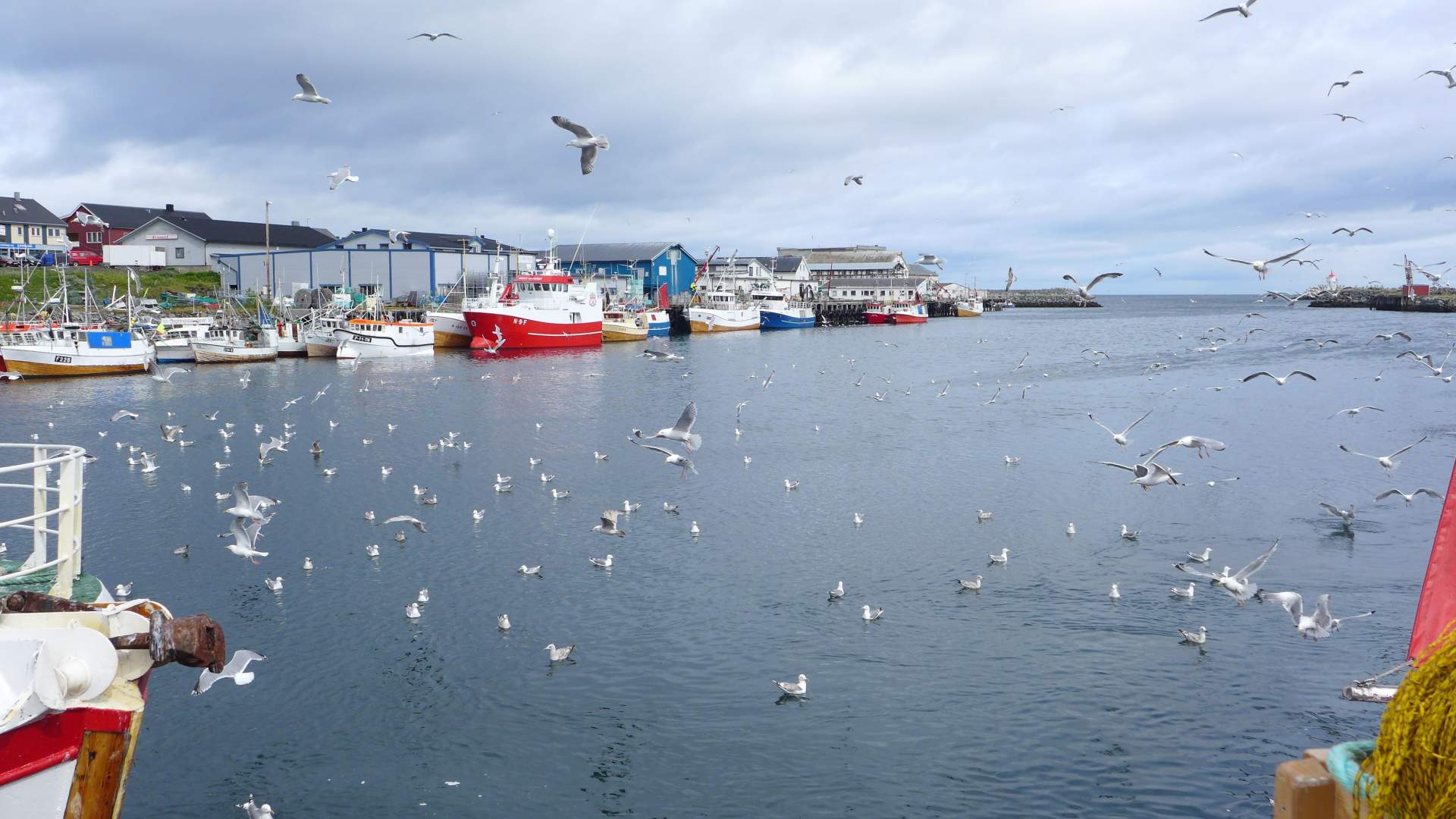 Berlevåg Pensjonat & Camping