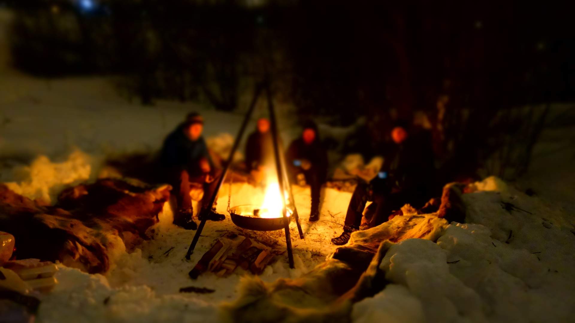 Northern Lights expedition to the North Cape