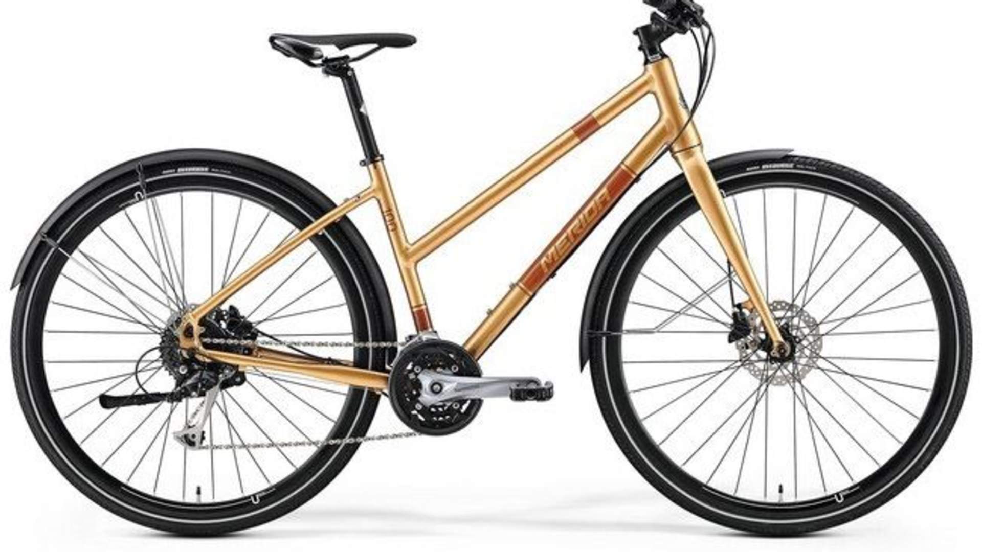 Touring - Trekking bike rental