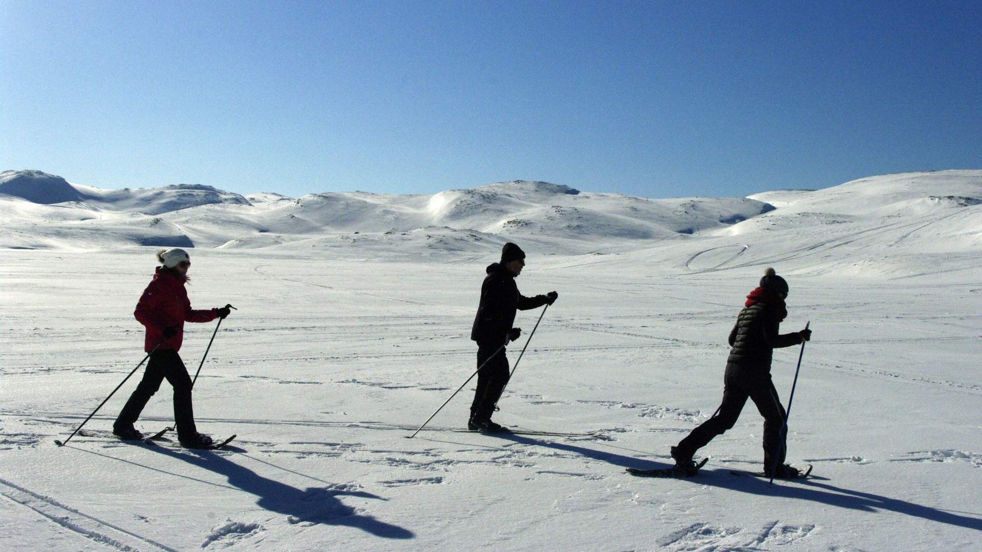 Snowfun and aurora chase in BaseCamp NorthCape