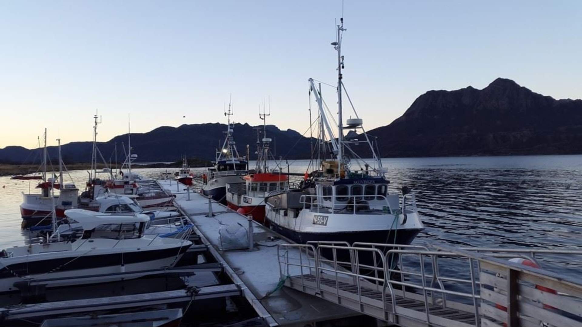 Småbåthavna