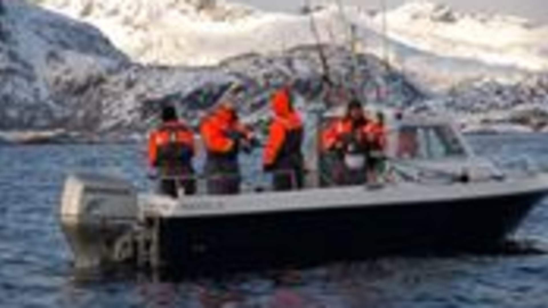 Fisketur med sportsfisker - No Problem Fishing