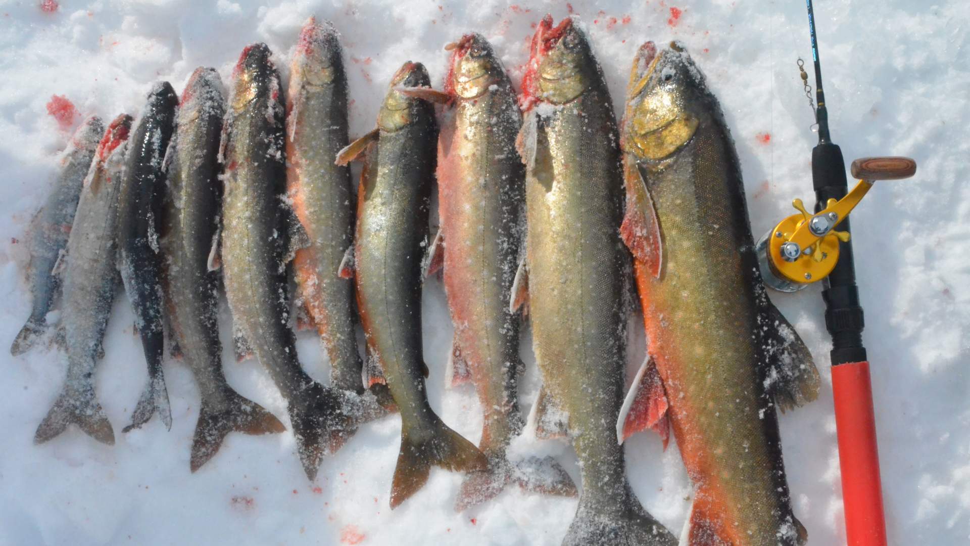 Ice Fishing on the plateau of Finnmark