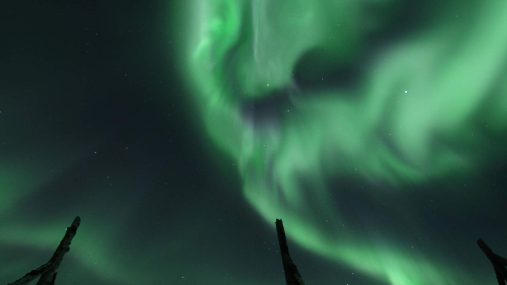 GuideGunnar`s Aurora Chase Dinner