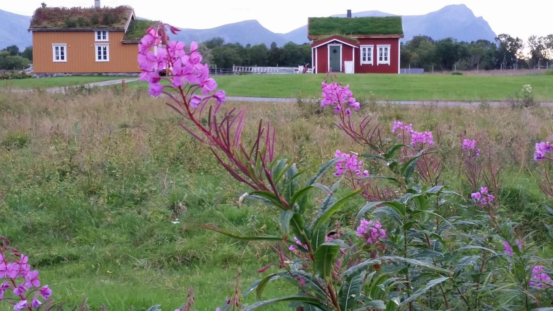 Loviktunet