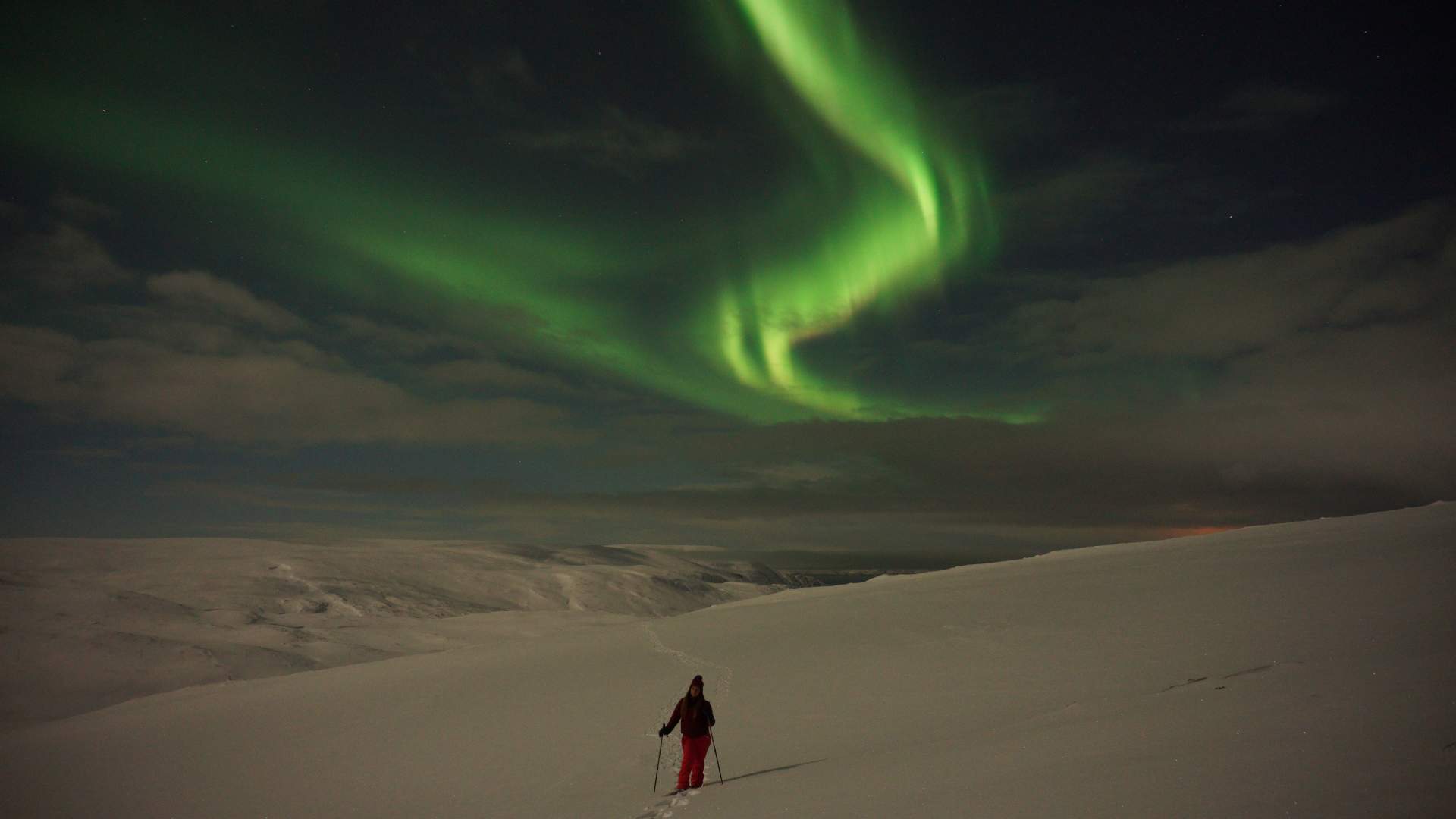 Northern Lights Snowshoe Safari