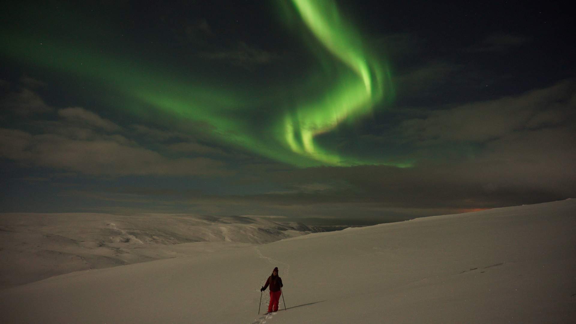 Northern Lights Snowshoe Safari