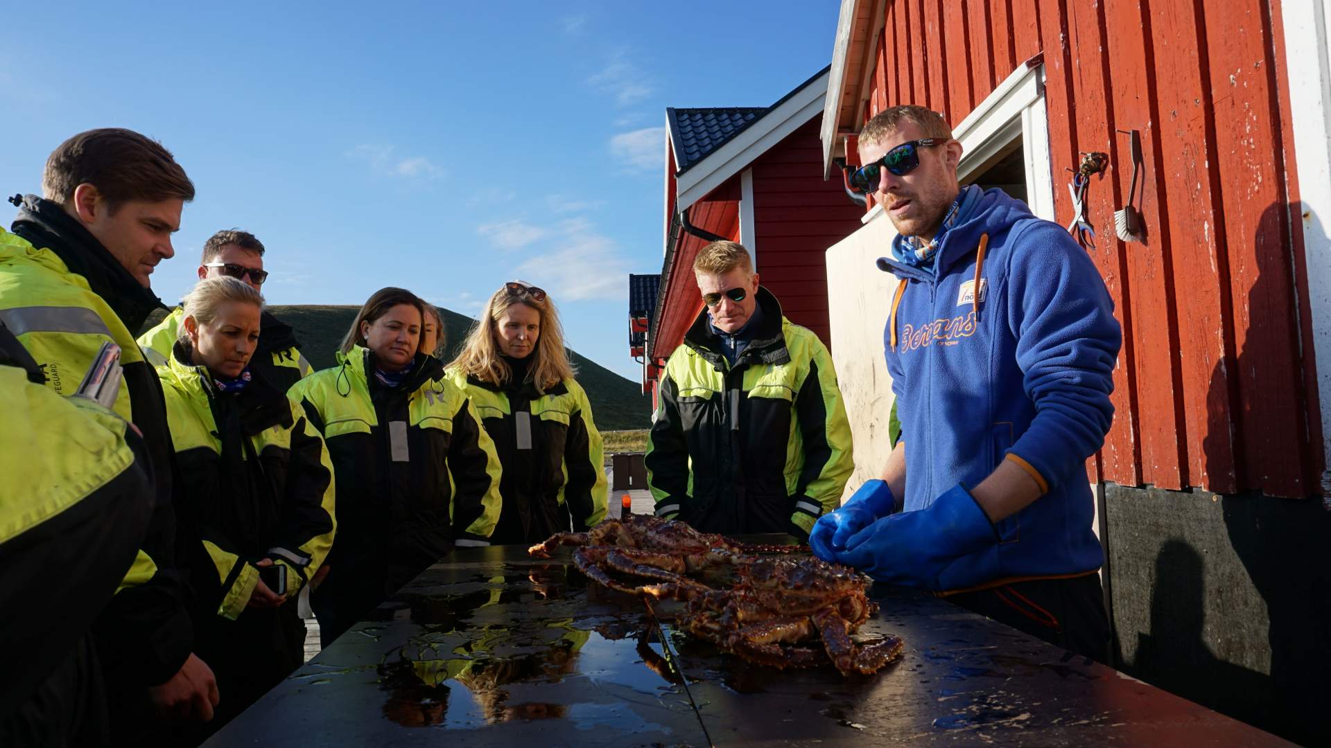 From sea to shore, the wondrous world of the king crab
