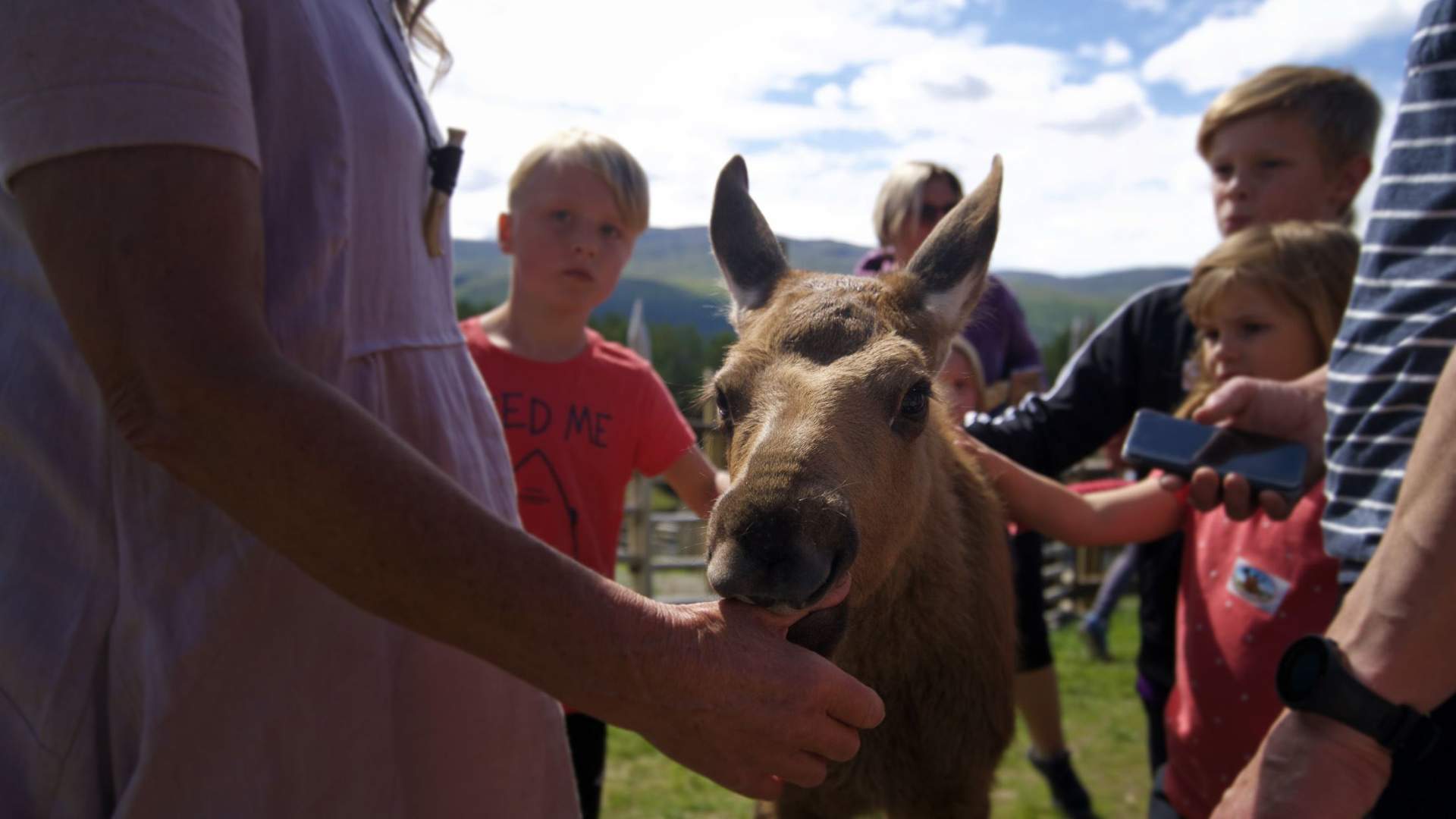 Glittersjå mountain farm