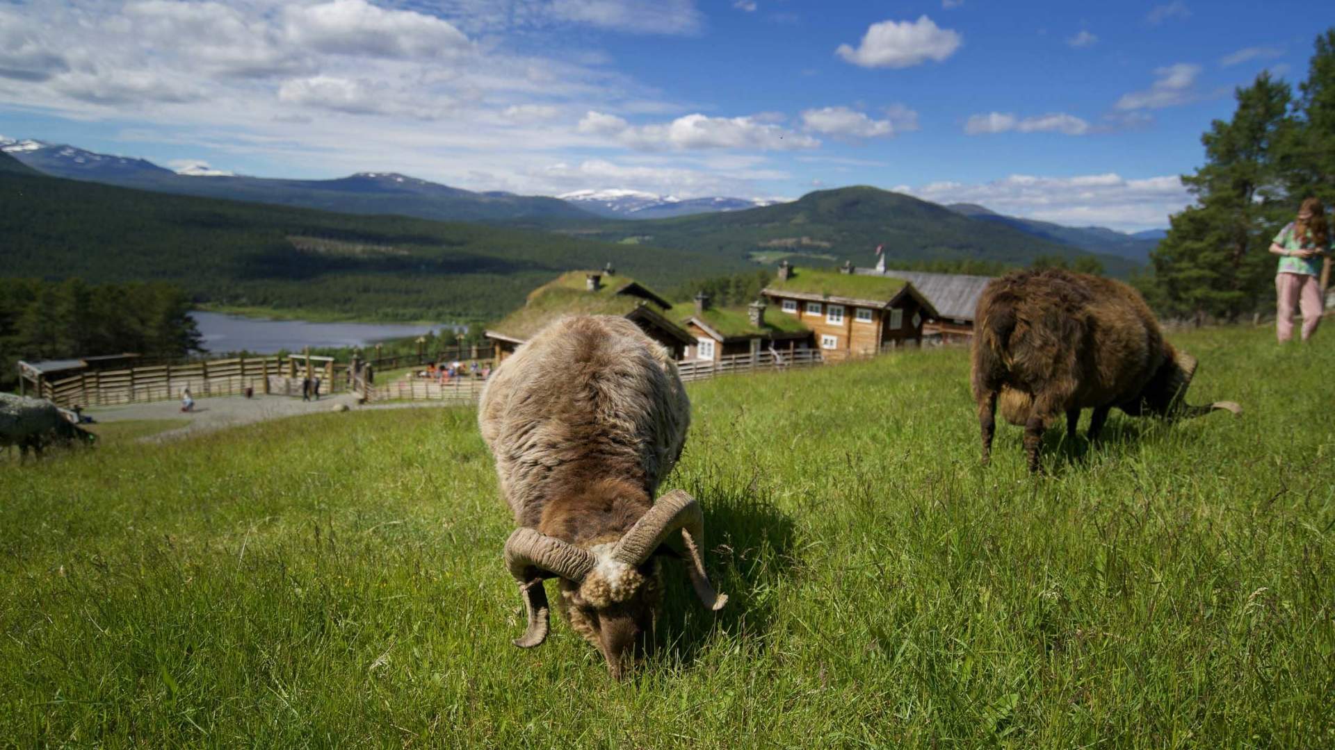 Glittersjå mountain farm