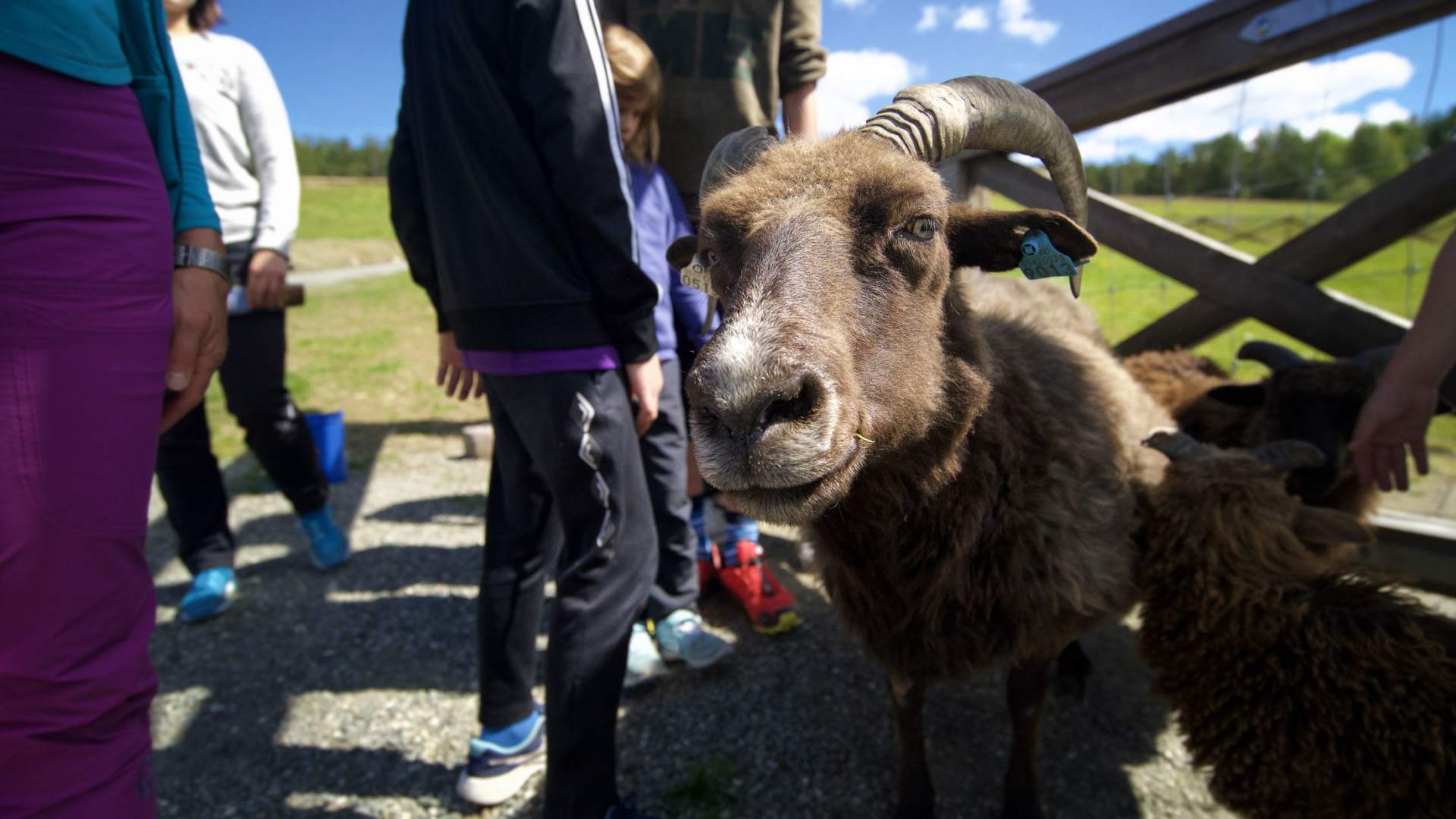 Glittersjå mountain farm