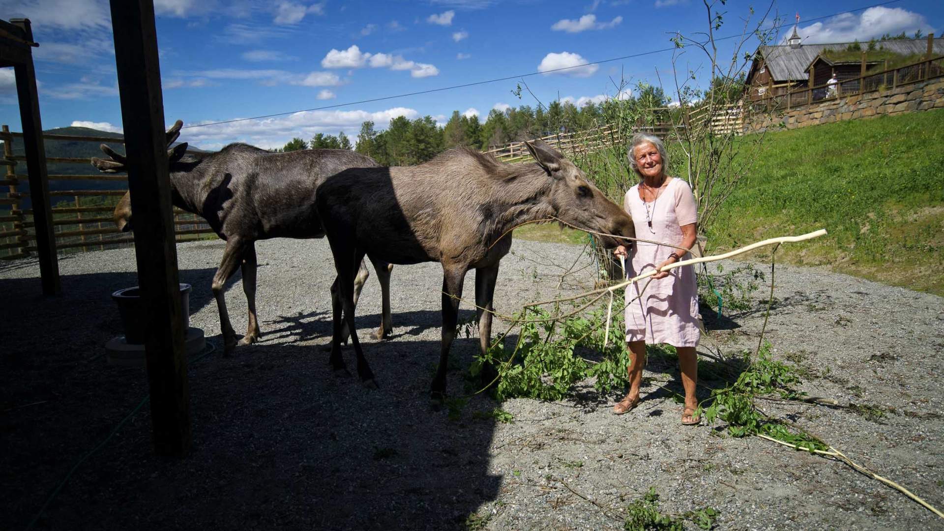 Glittersjå mountain farm