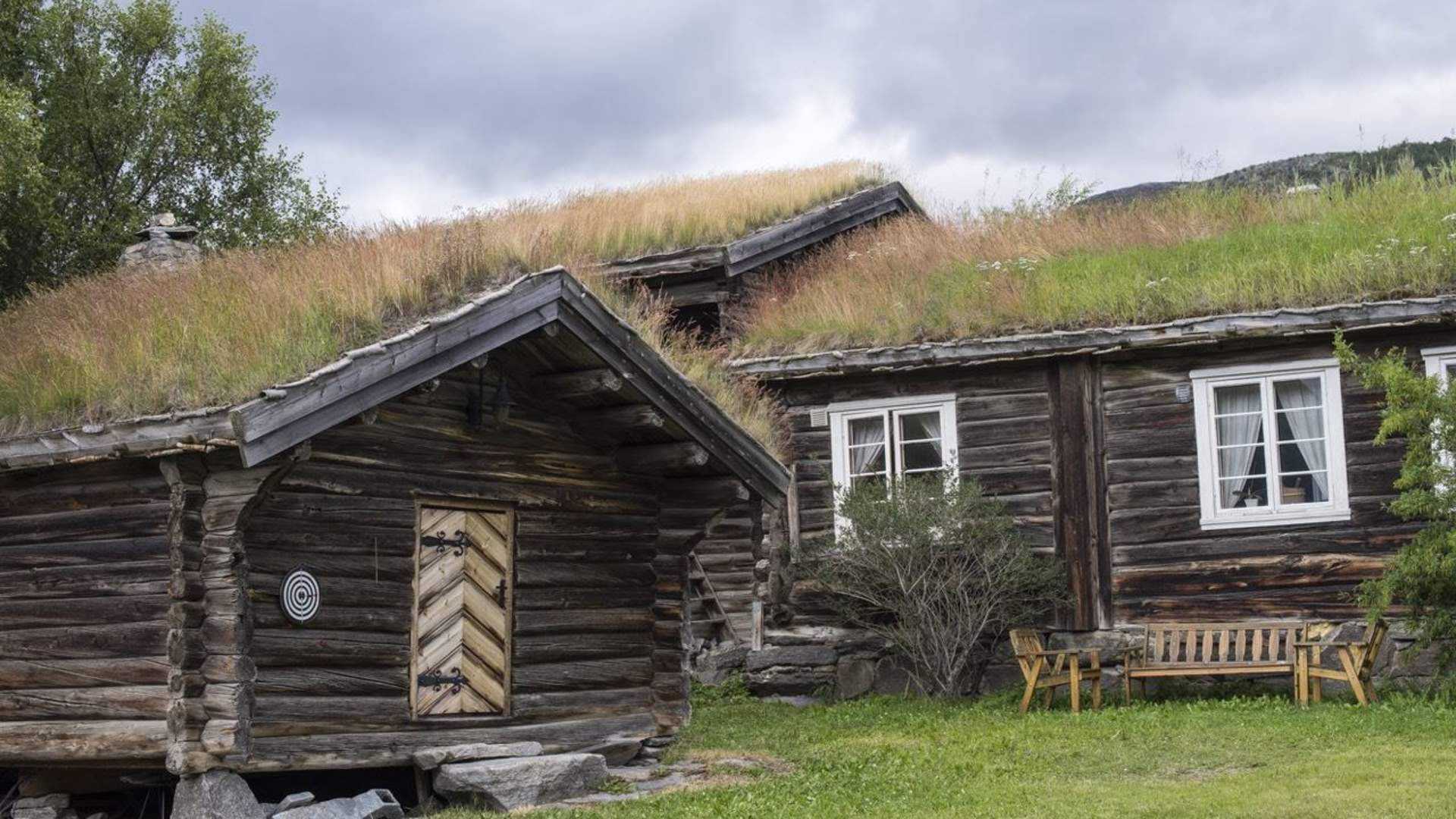 Farm experiences in Lesja | Vigga Vekst