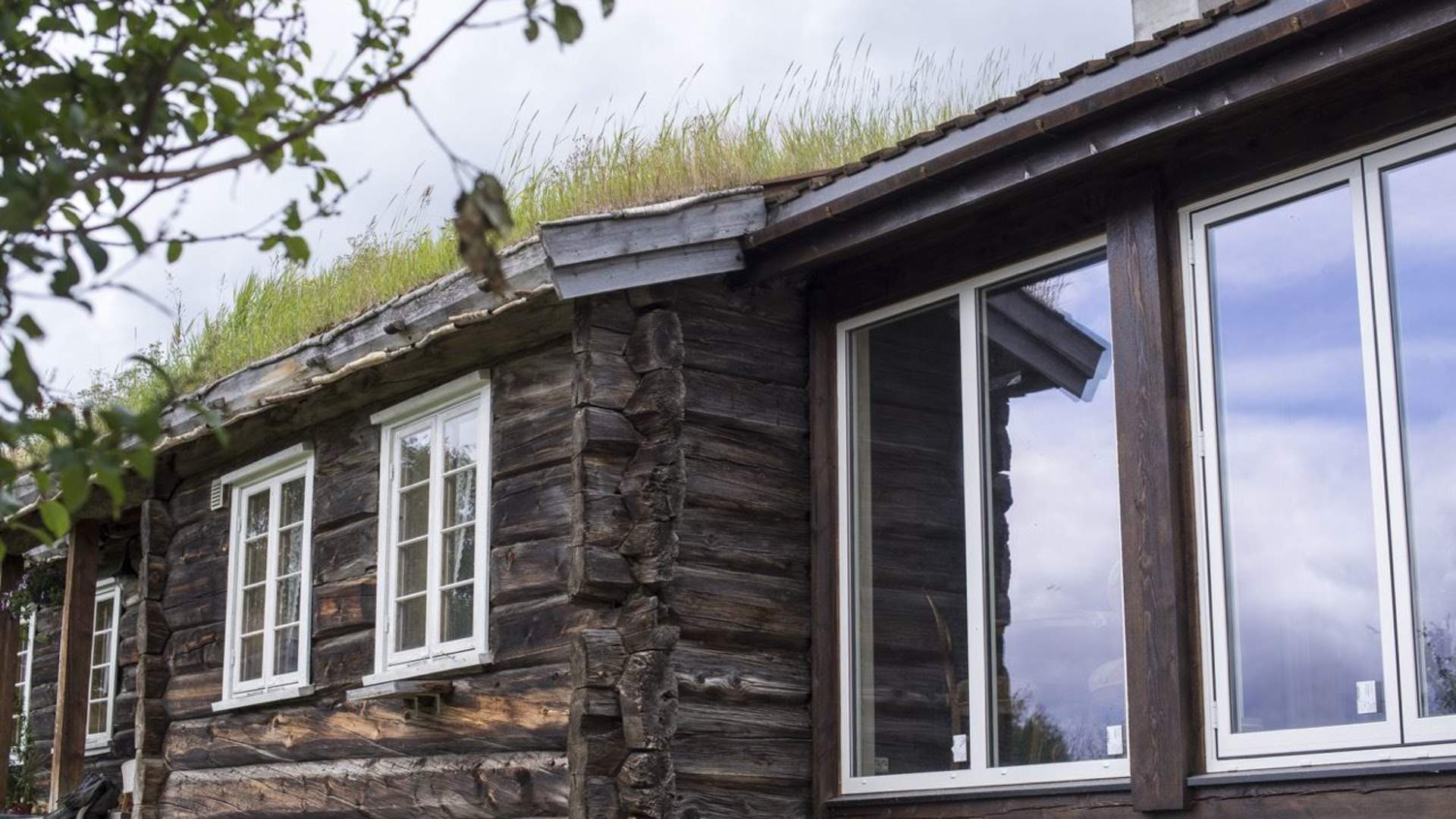 Farm experiences in Lesja | Vigga Vekst