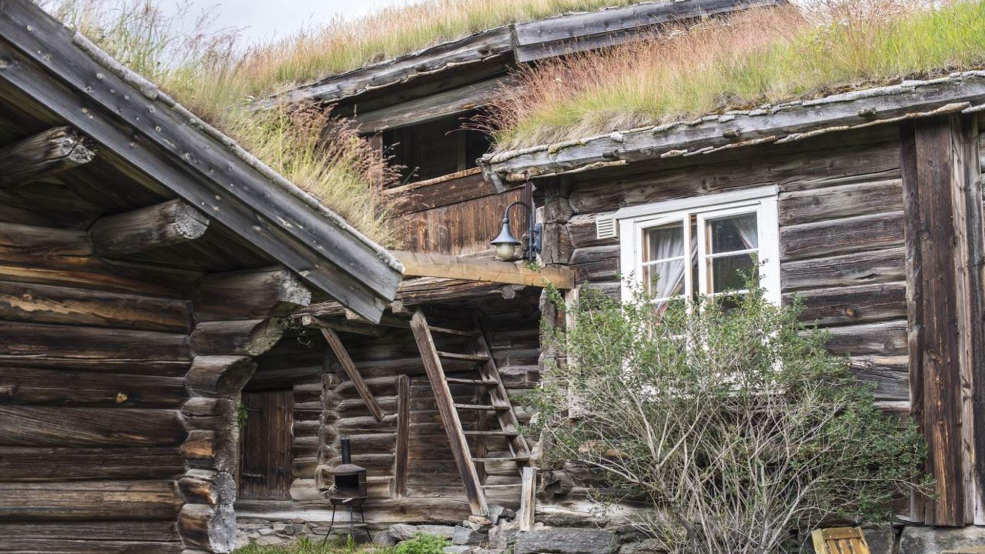 Farm experiences in Lesja | Vigga Vekst