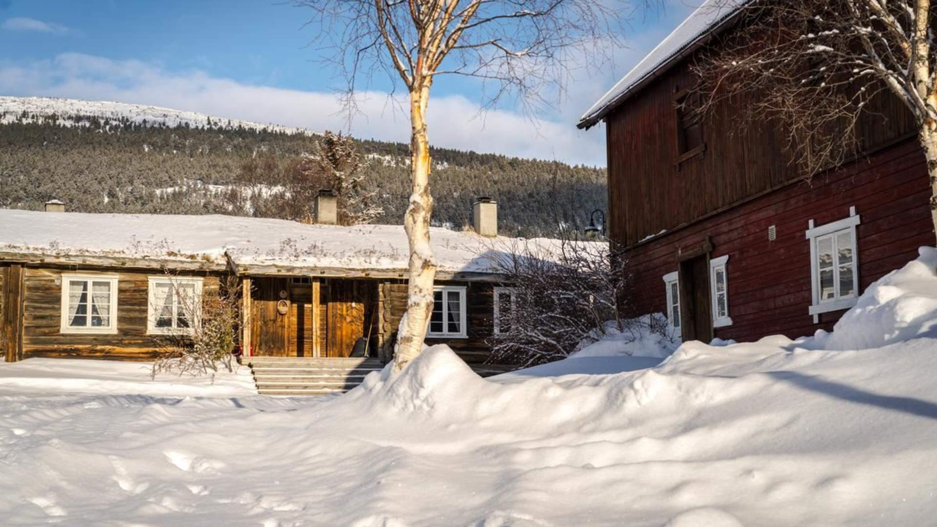 Farm experiences in Lesja | Vigga Vekst