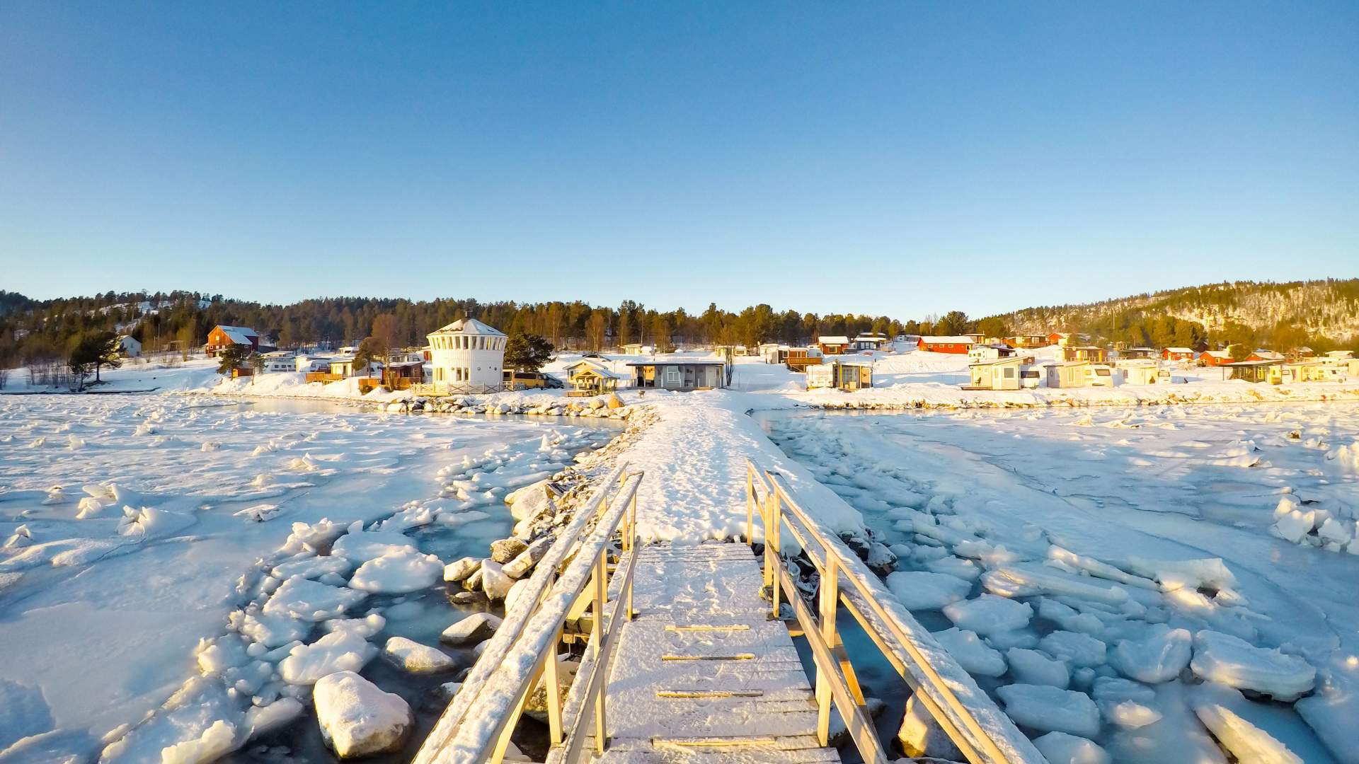 Norwegian Wild
