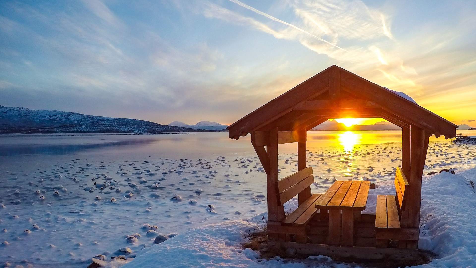 Norwegian Wild
