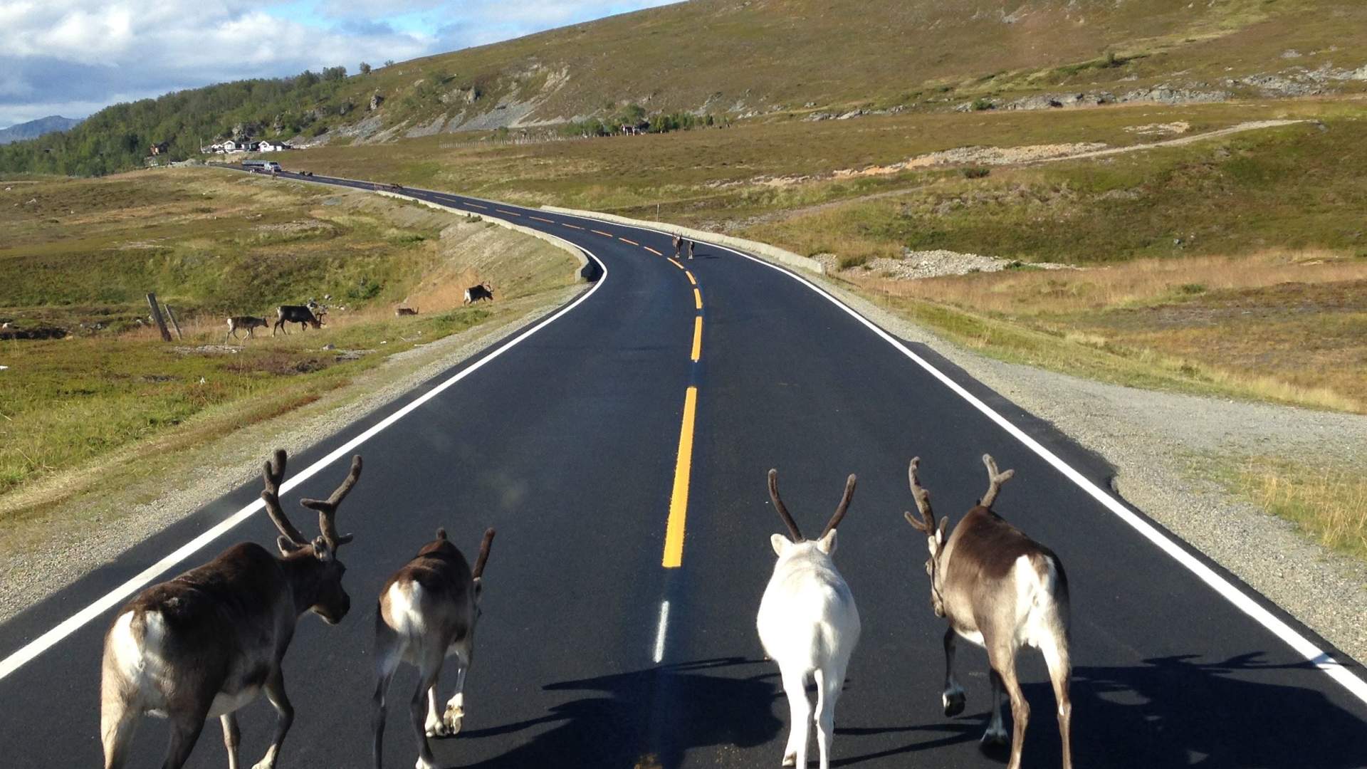North Cape Sightseeing