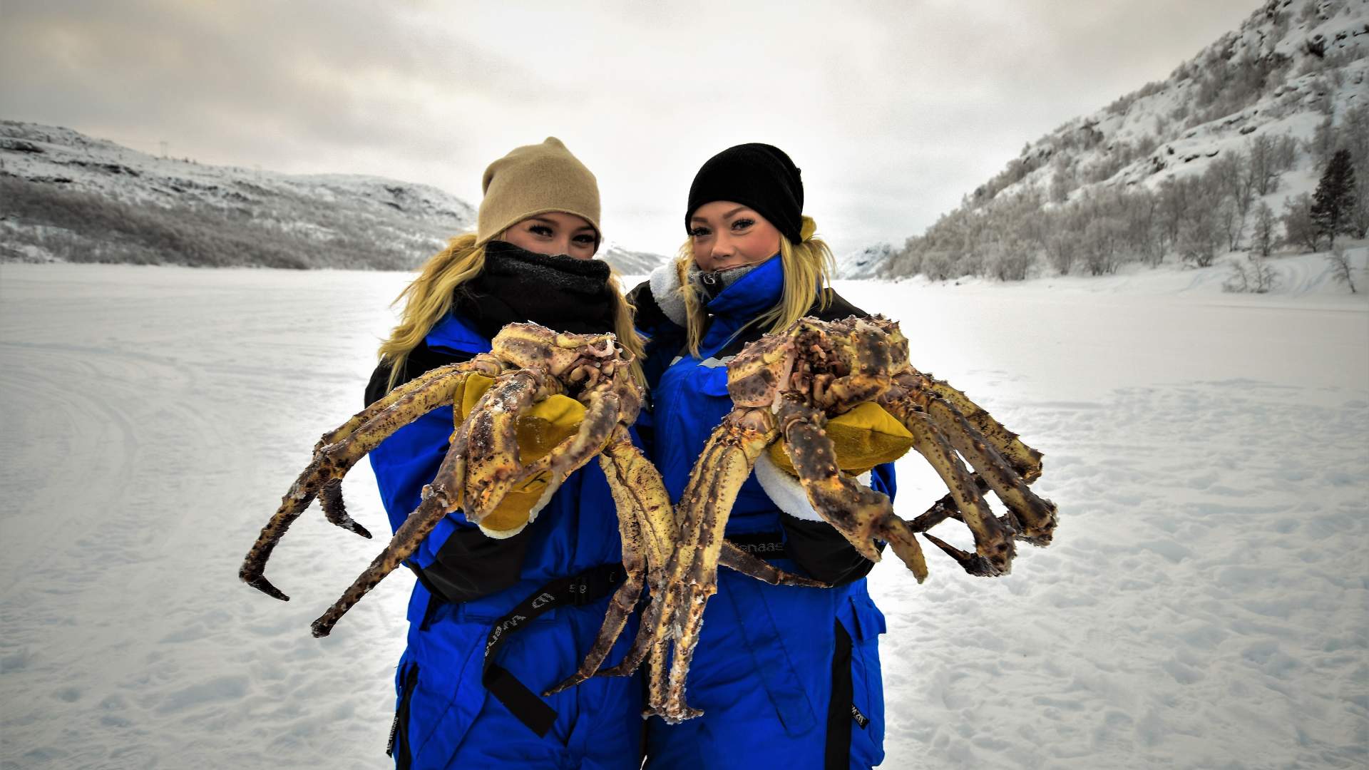King Crab
