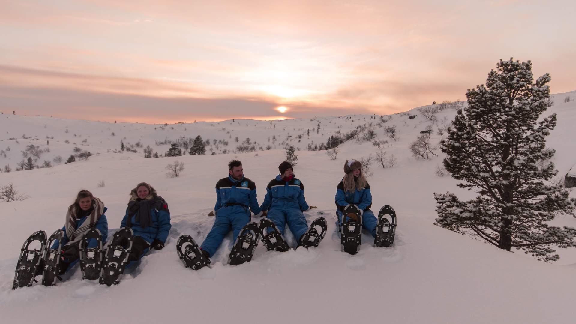 Snowshoe
