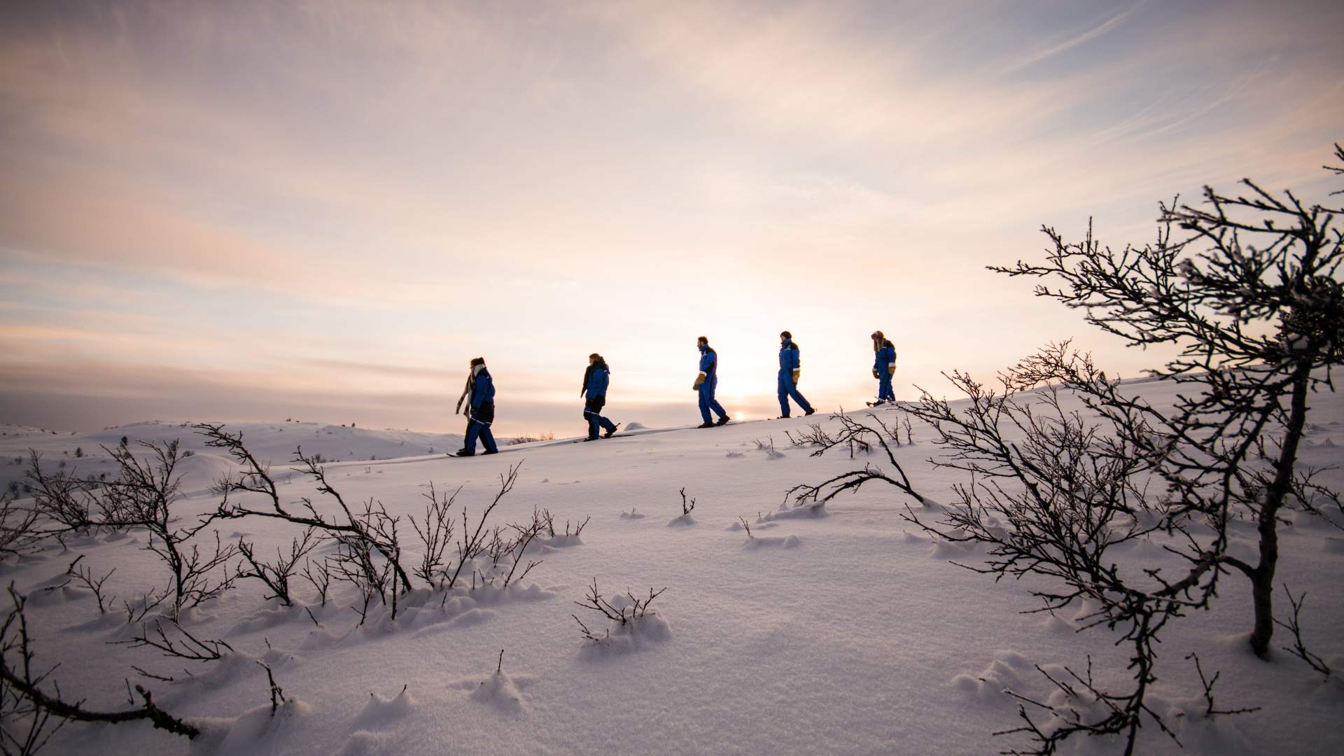 Snowshoe