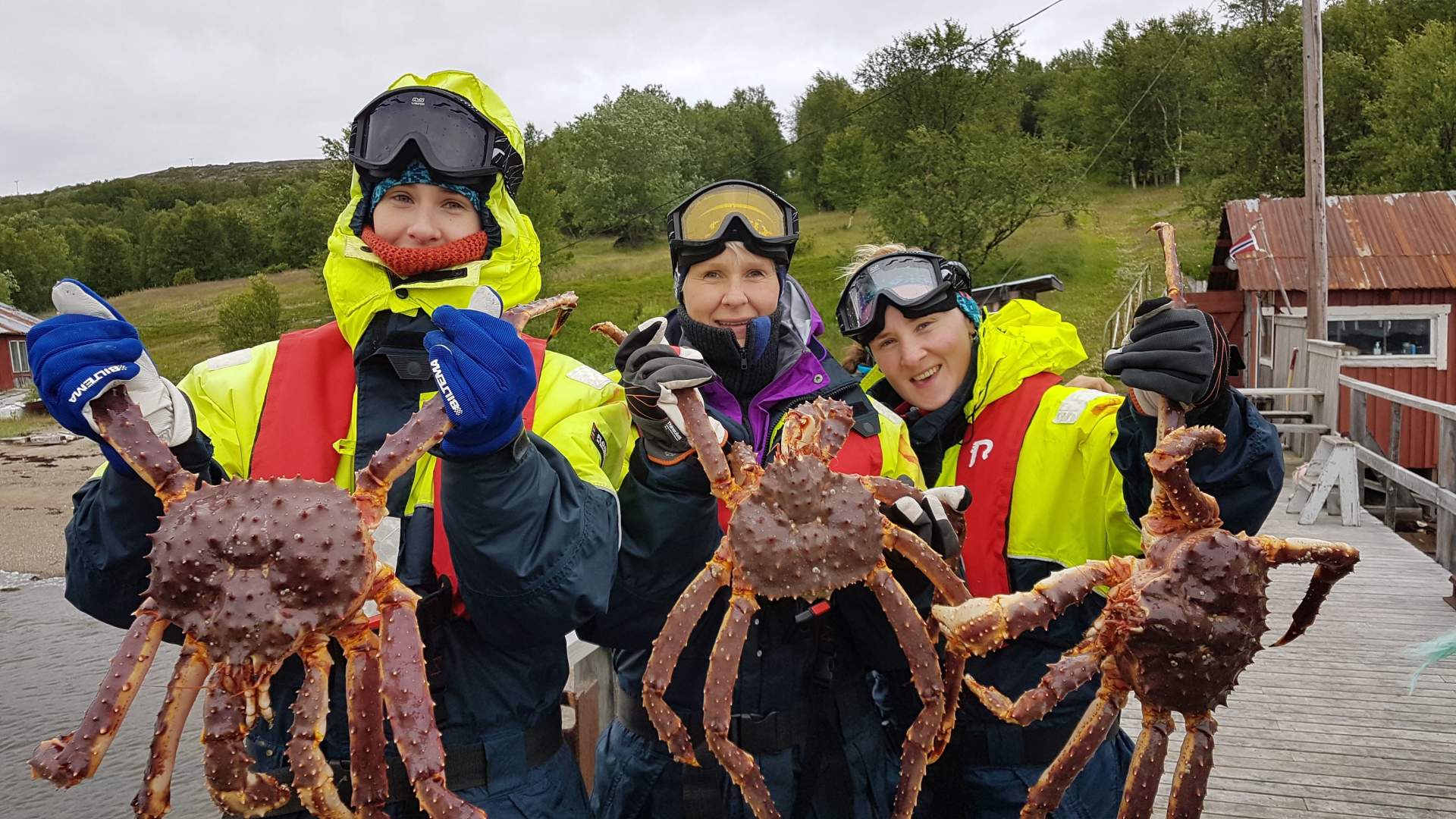 Snowhotel Kirkenes - King Crab Rafting Safari, Action & Adventure, Kirkenes