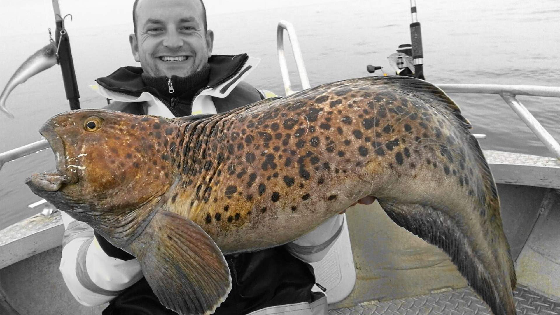 North Cape Holiday and Fishing Camp