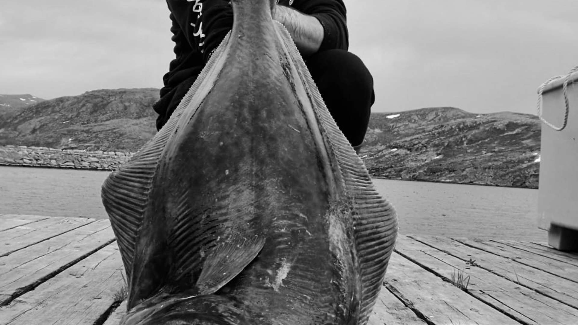 North Cape Holiday and Fishing Camp