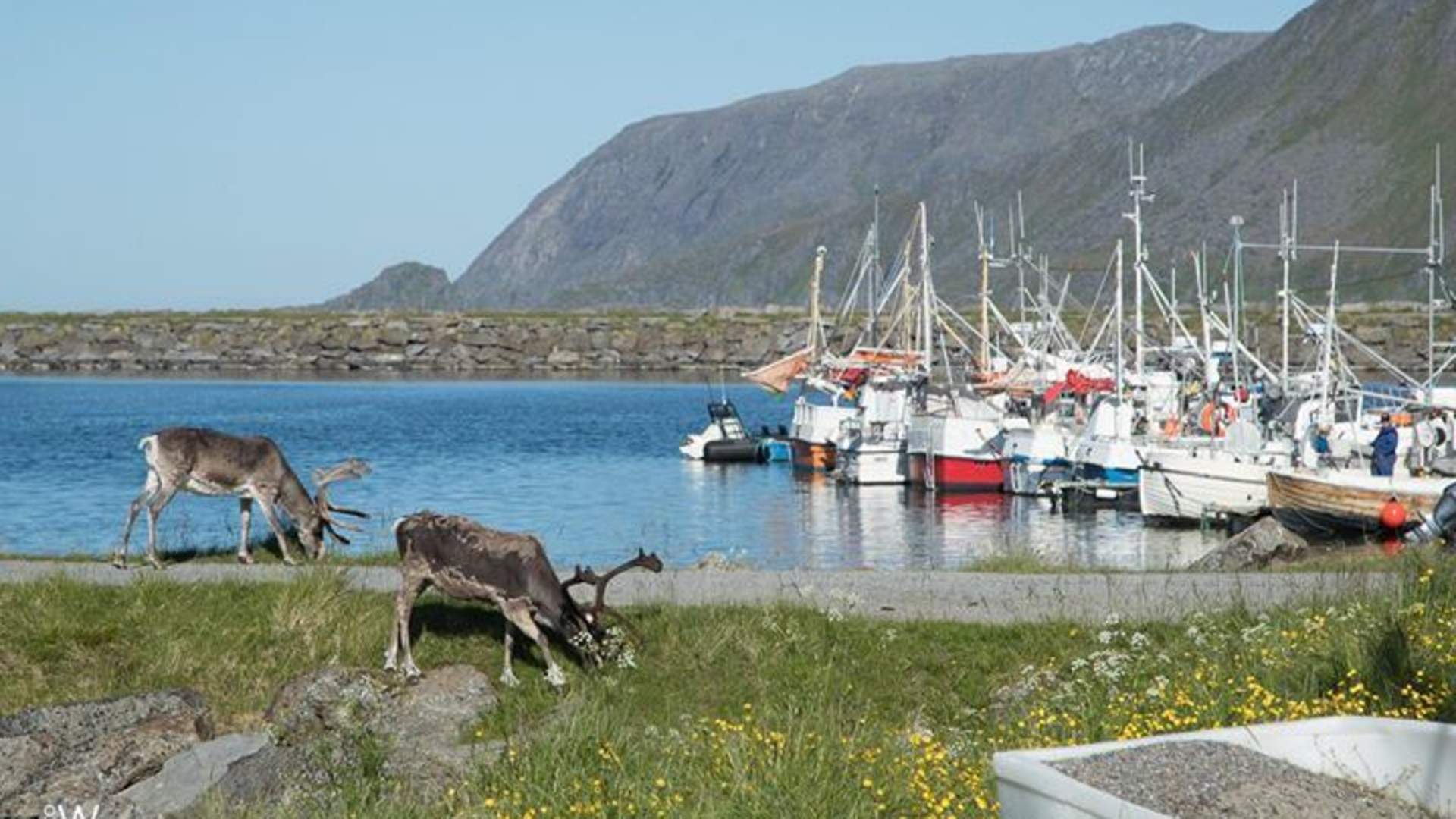 North Cape Holiday and Fishing Camp