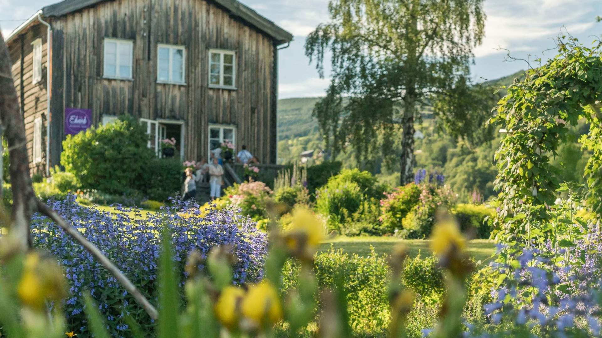 Munchvandring Vågå