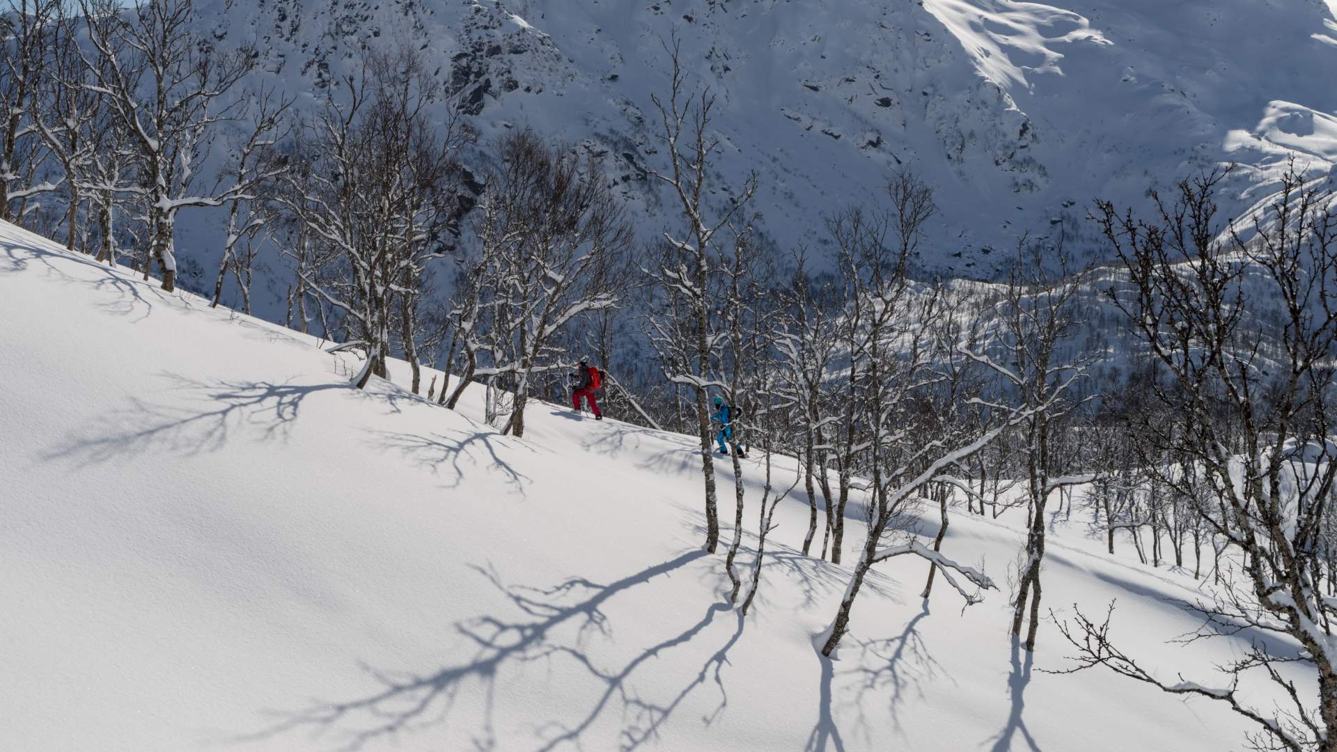 Skreddersydde turer - Northern Alpine Guides