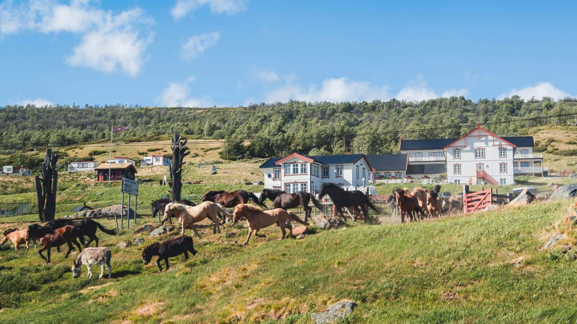 Hjerkinn Fjellstue