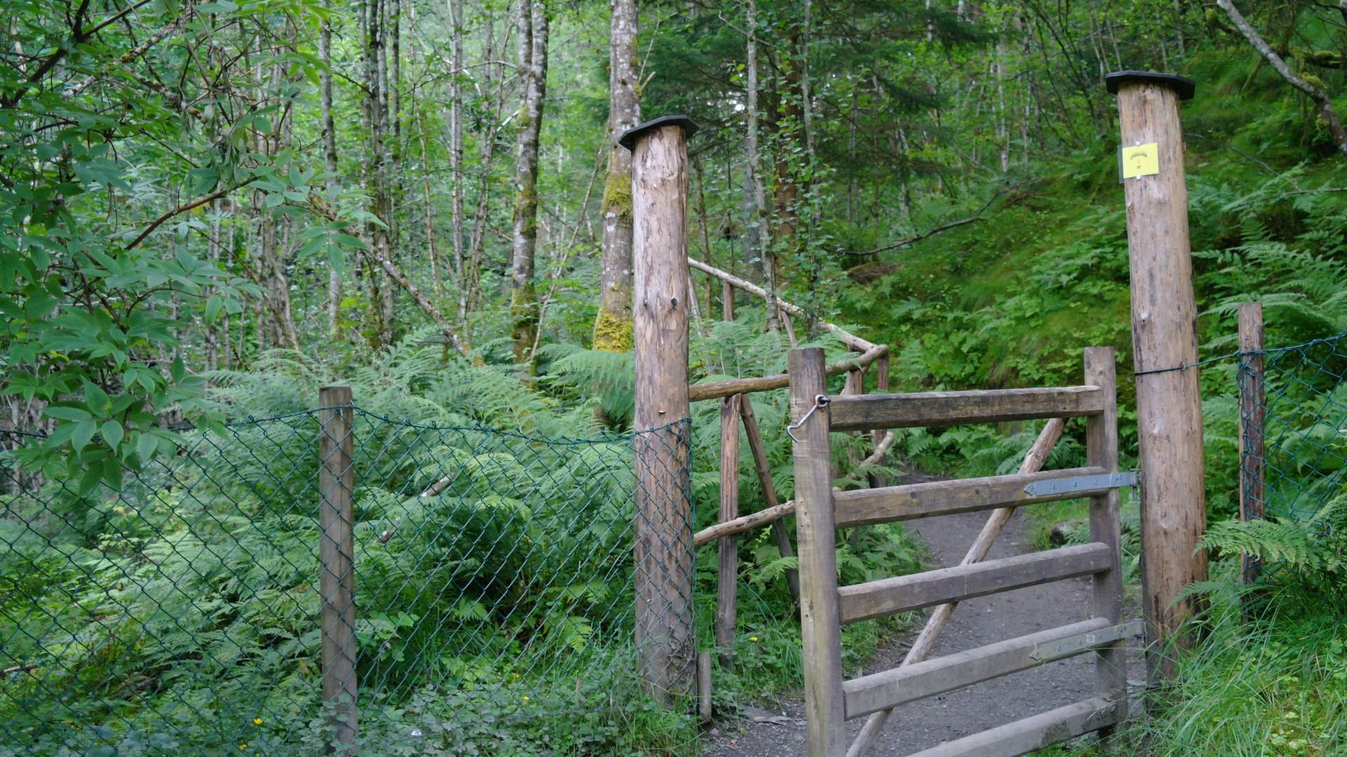 Bordalsgjelet