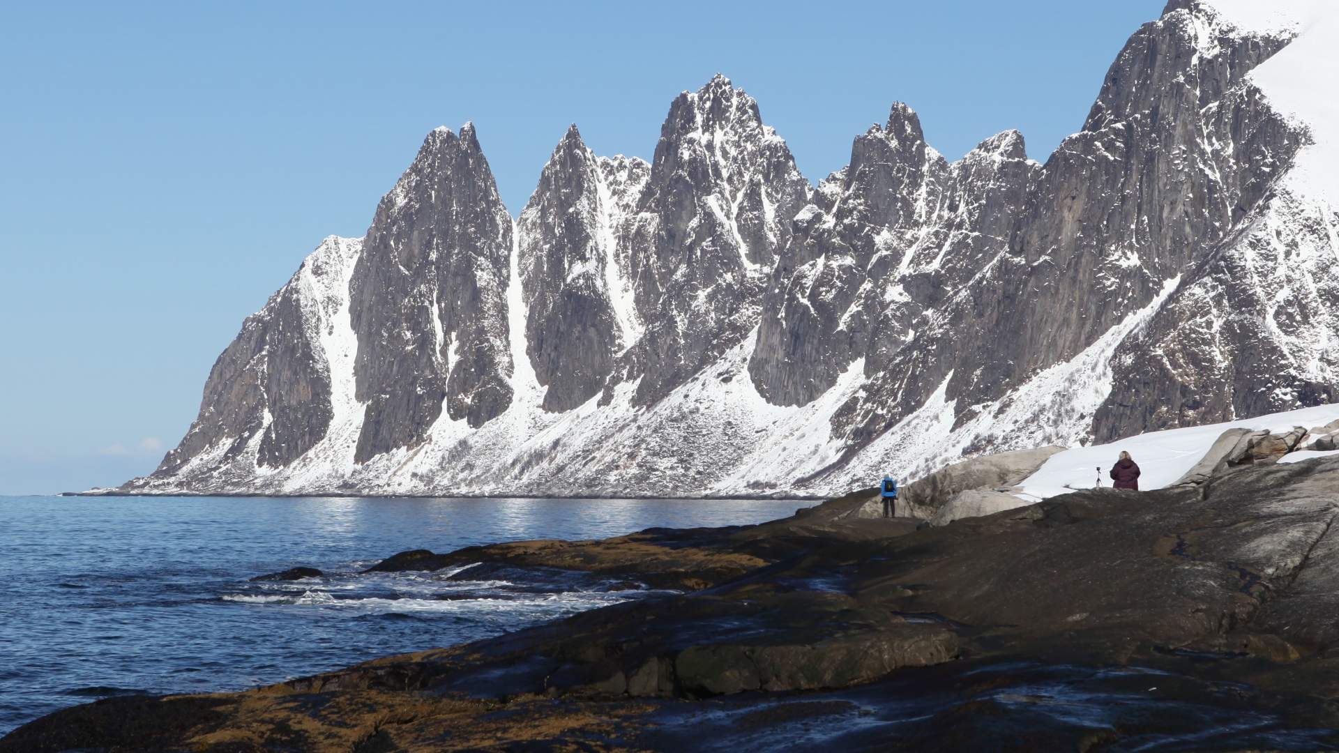 5 days Christmas expedition with whale-safari, dogsledding and northern lights on Senja island