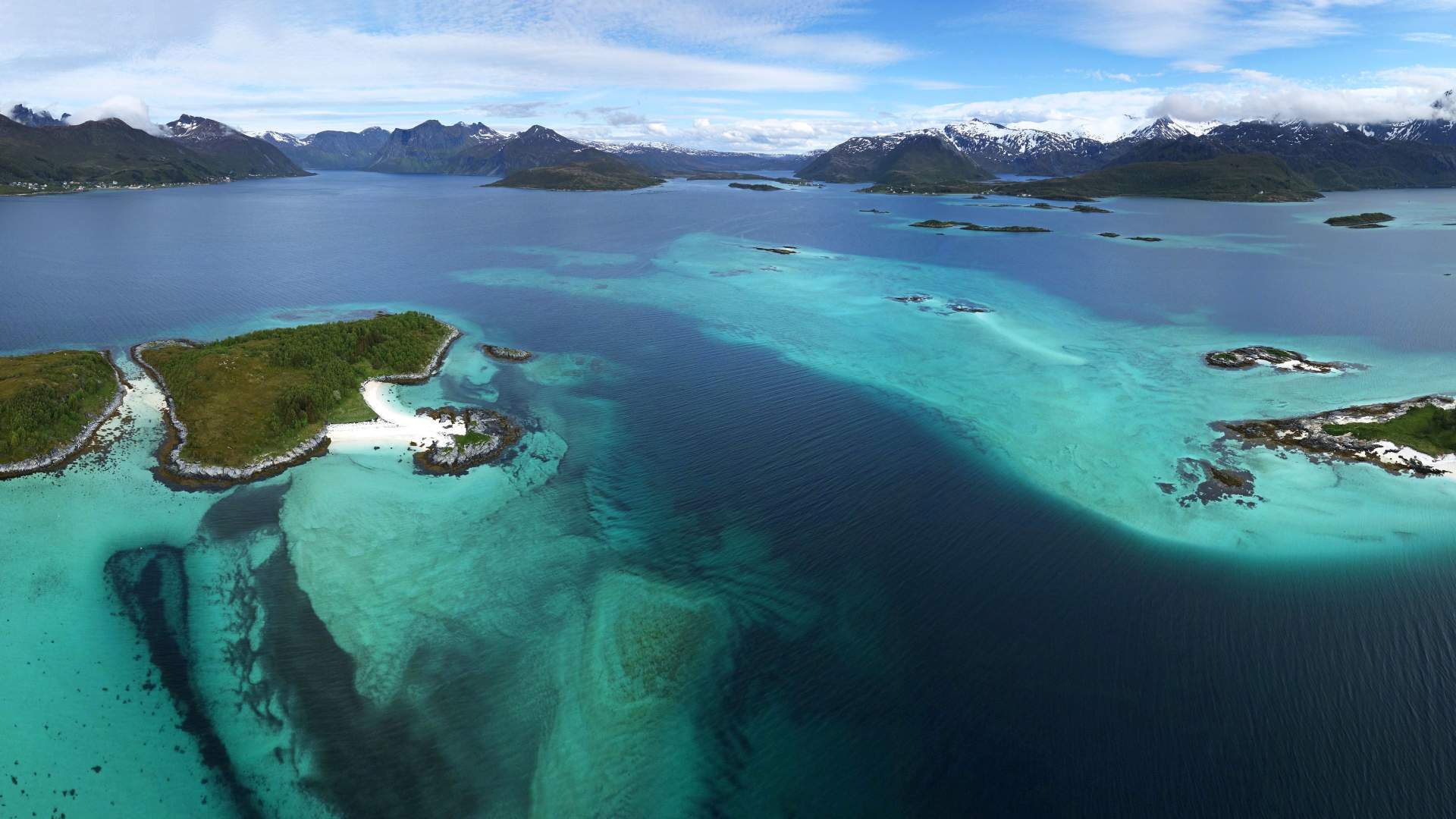5 days Christmas expedition with whale-safari, dogsledding and northern lights on Senja island