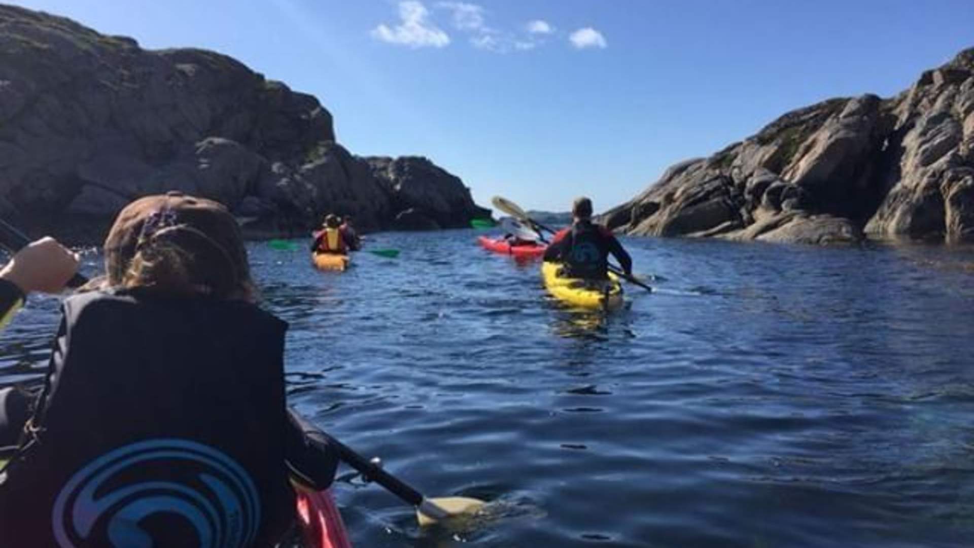 Ballstad - Guided kayak tours