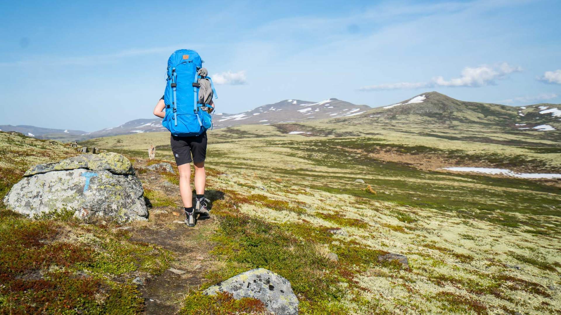 Dovre National Park