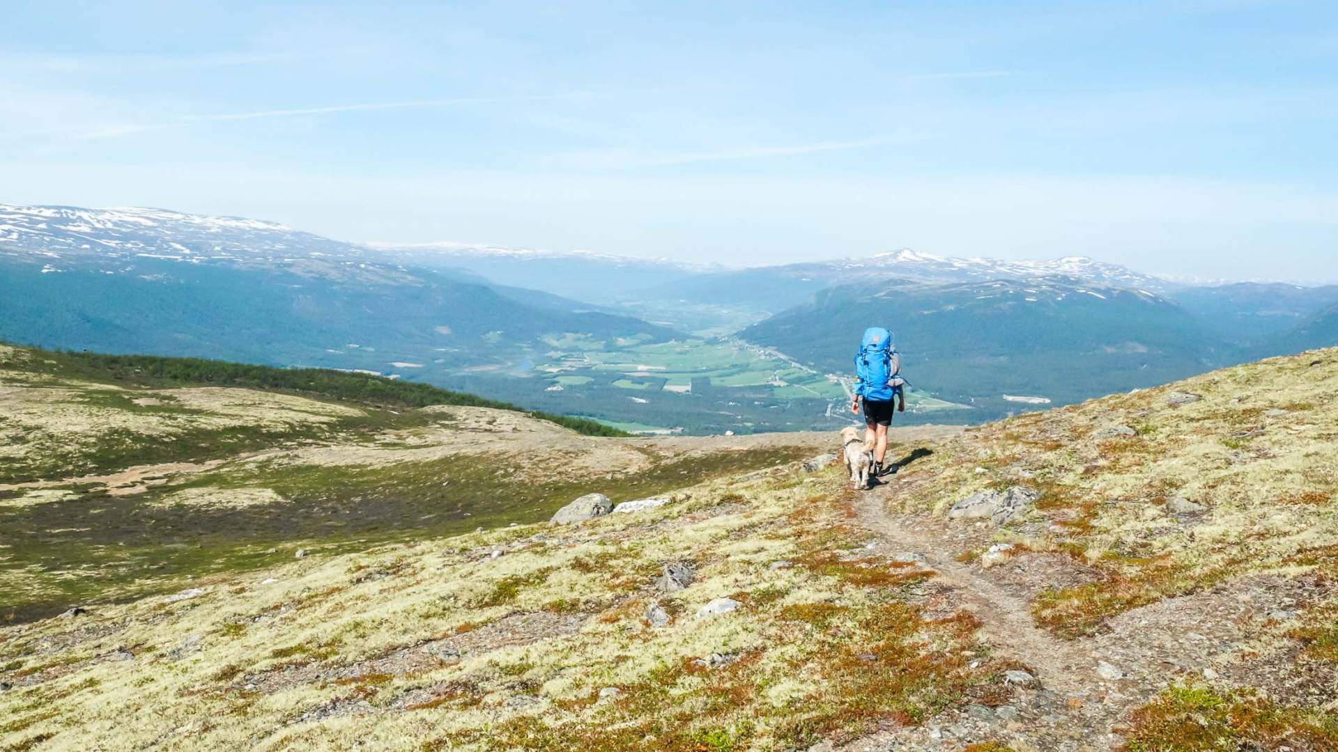 Dovre National Park