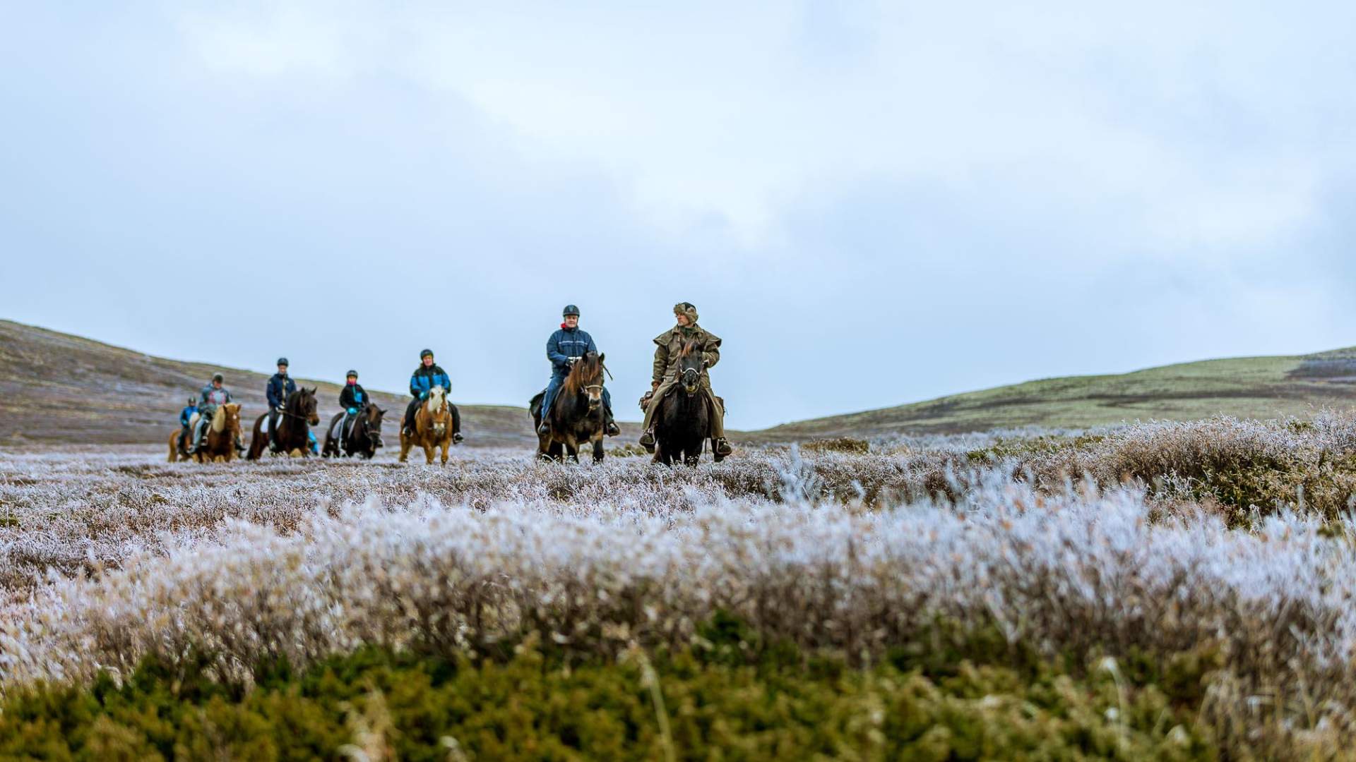 Øien Øvre Horse activities