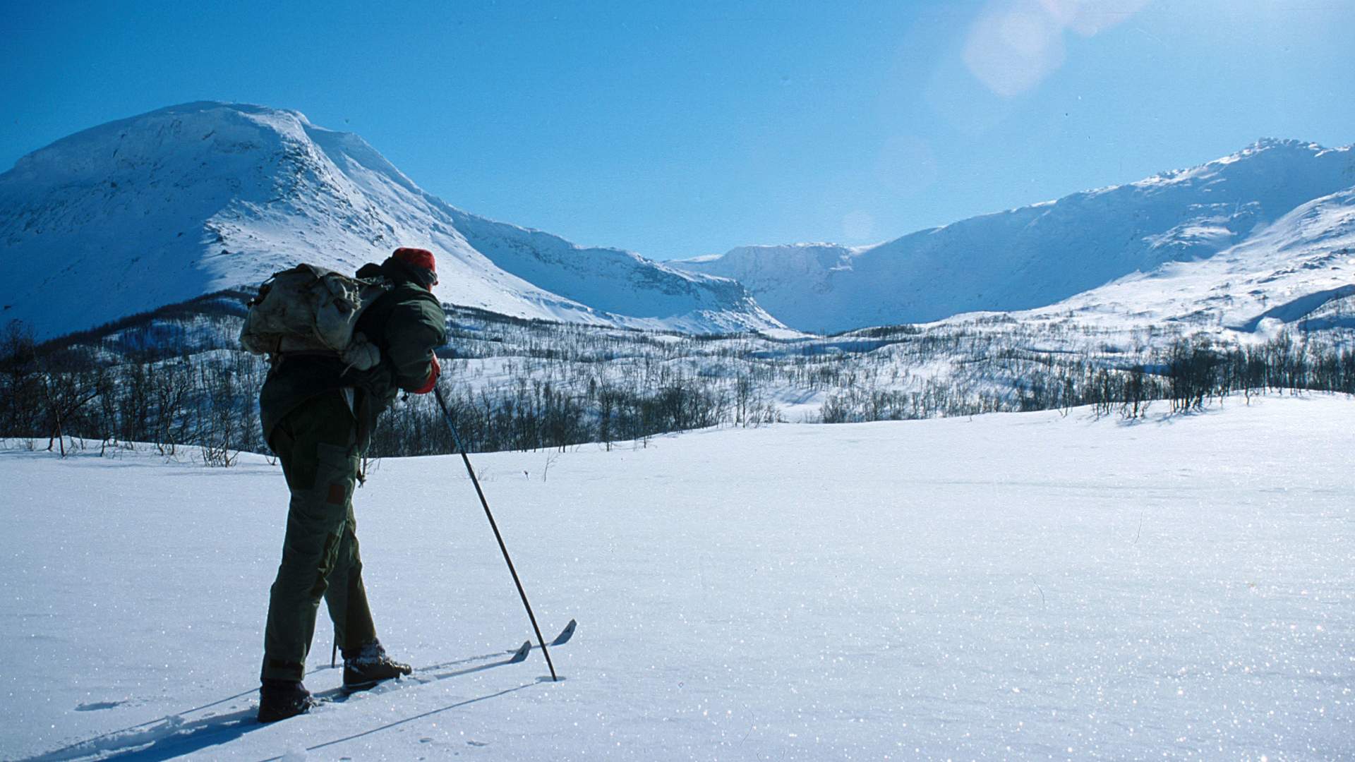 Saltfjellet-Svartisen National Park