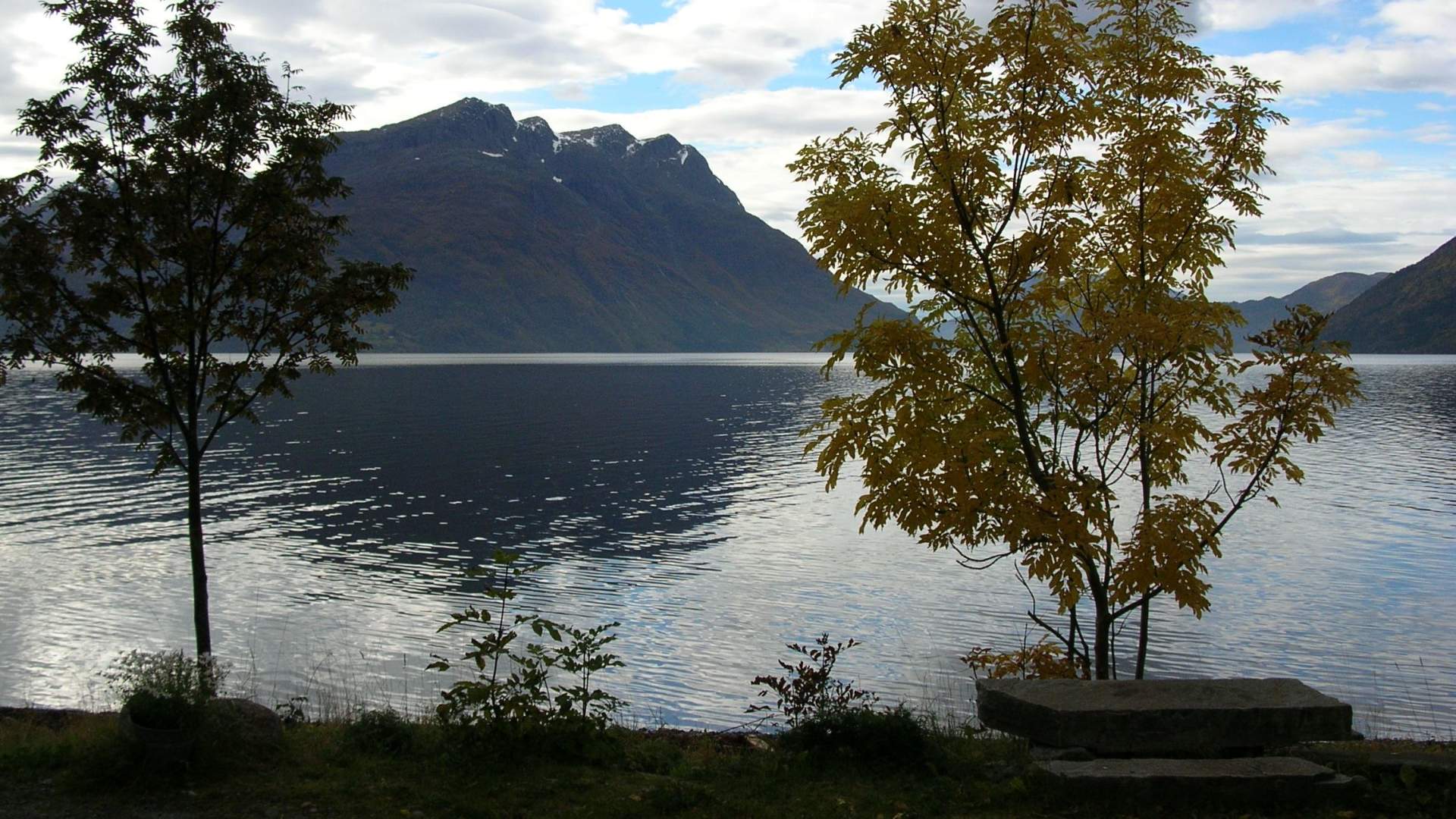 Årskogvika Camping