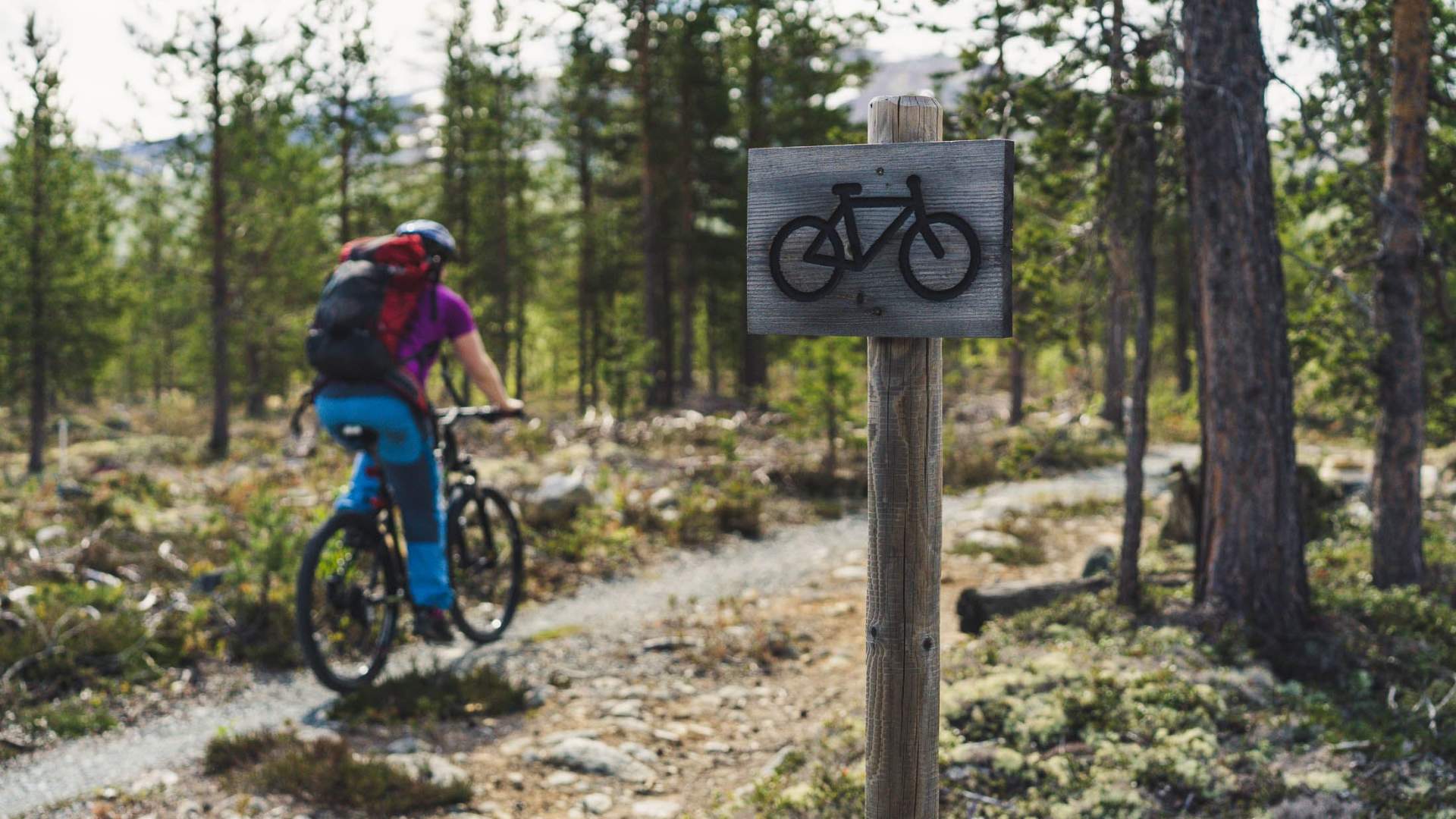 Sykkelutleie på Dombås | Dovrefjell Adventures