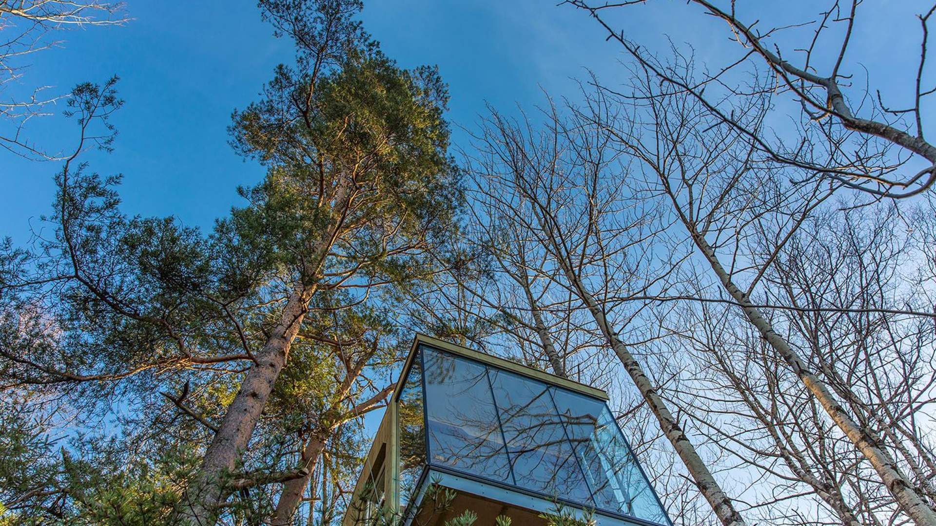 Engeset Trehytter (Tree Houses)